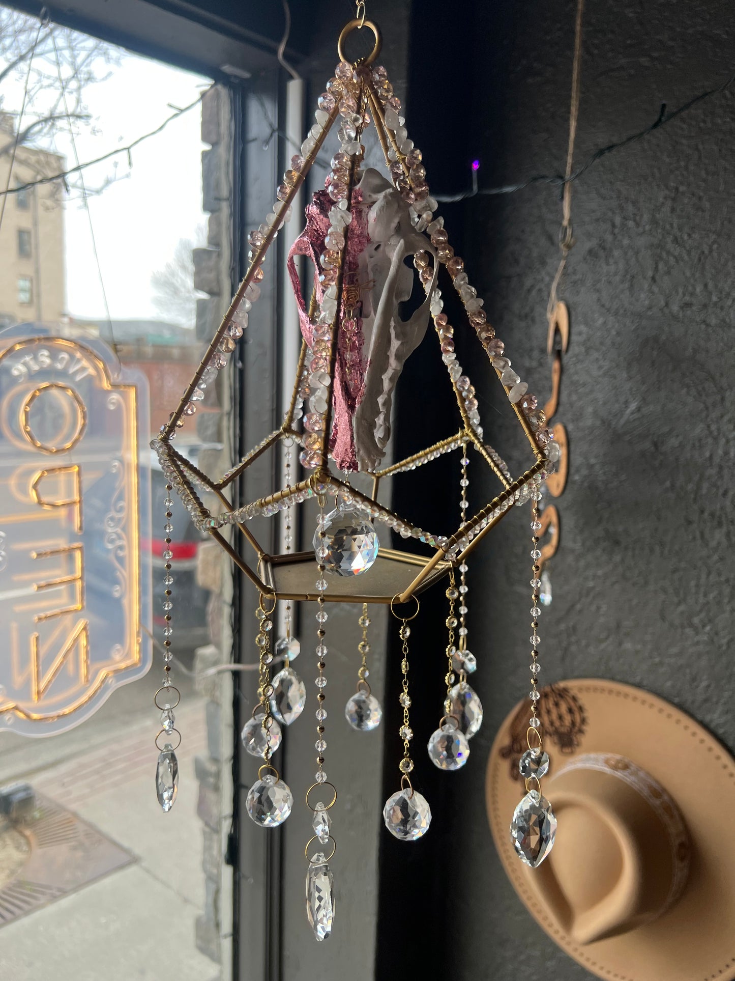 Althea Coyote Skull Mixed Media Taxidermy Oddities Geometric Crystal Suncatcher