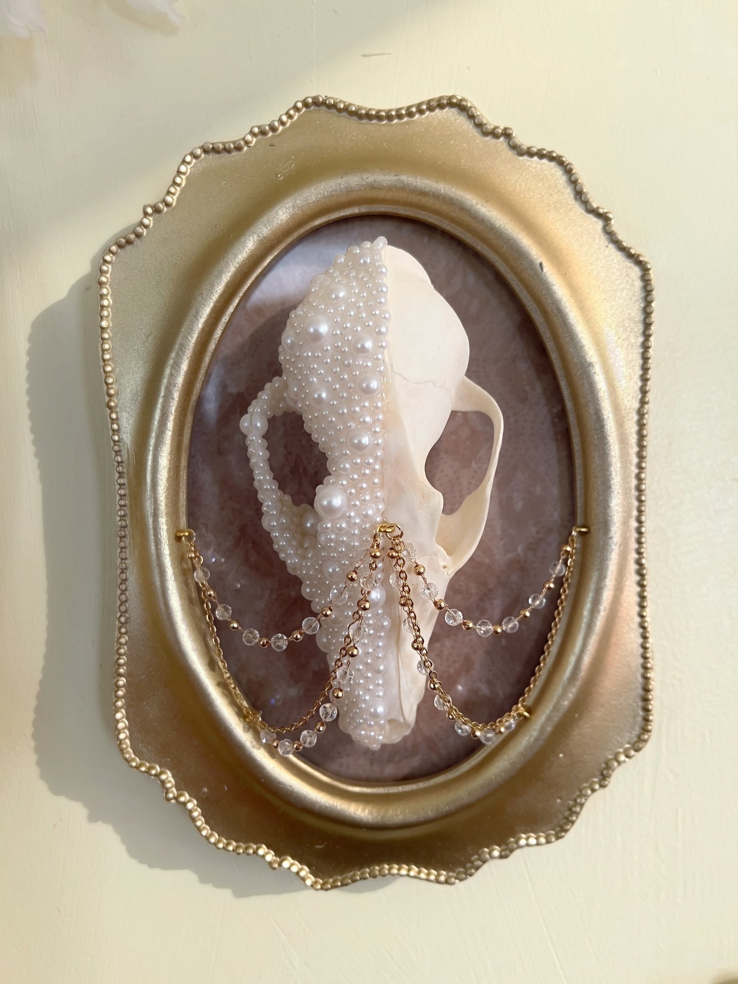 Delphine Fox Skull Faux Pearl Chained Framed Taxidermy Artwork