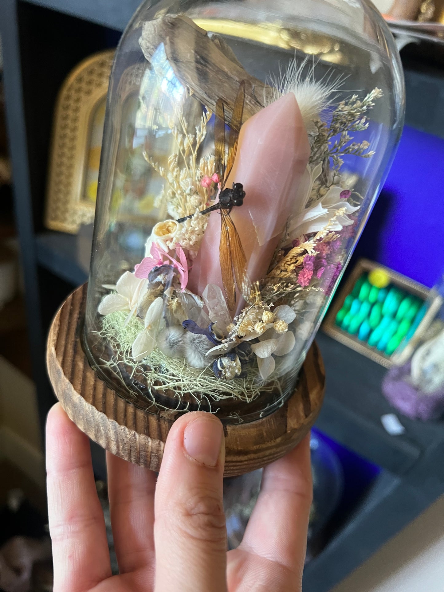 Nature Taxidermy Entomology Art with Hedgehog skull and Yellow Dragonfly in Cloche Glass Dome