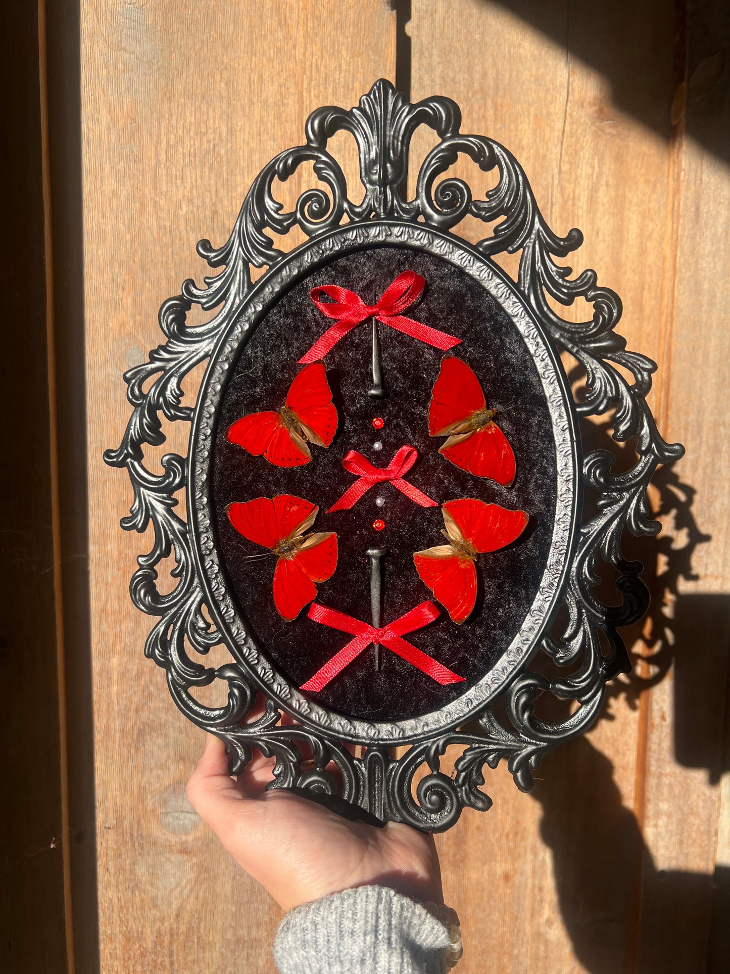 Crimson Queen Bubble Glass Antique Vintage Butterfly Framed Oddities Artwork