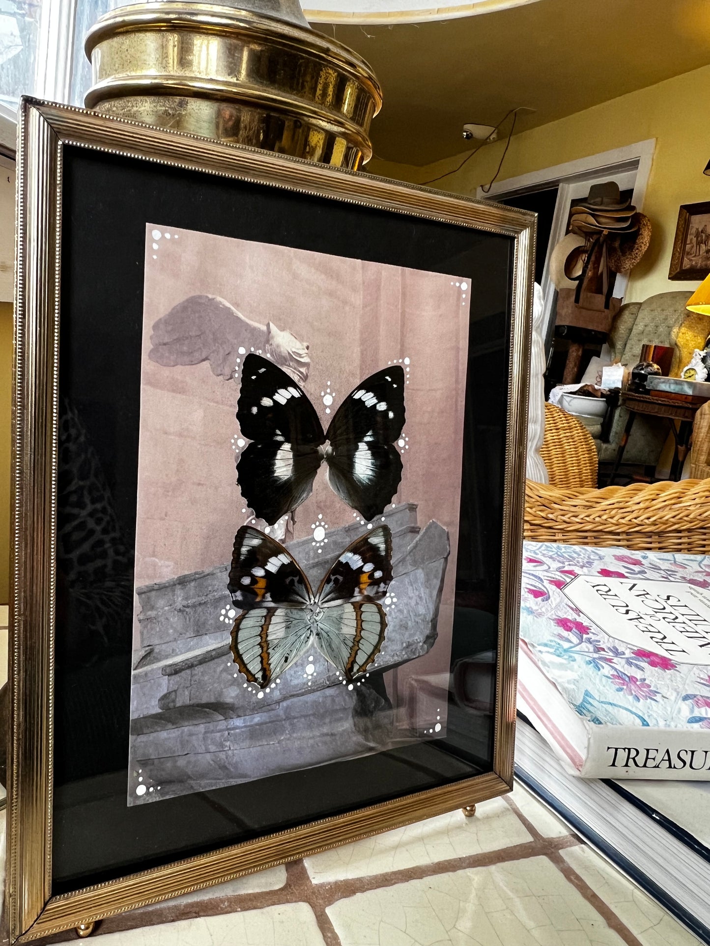 Whimsical Butterfly Wing Entomology Artwork