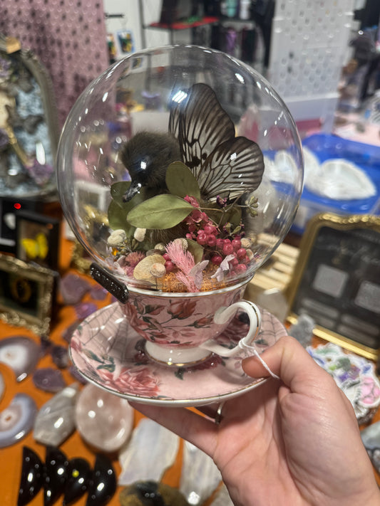 Linnie Fairy Duckling Taxidermy Butterfly Wing Teacup Cottagecore Whimsical Glass Dome Floral Artwork