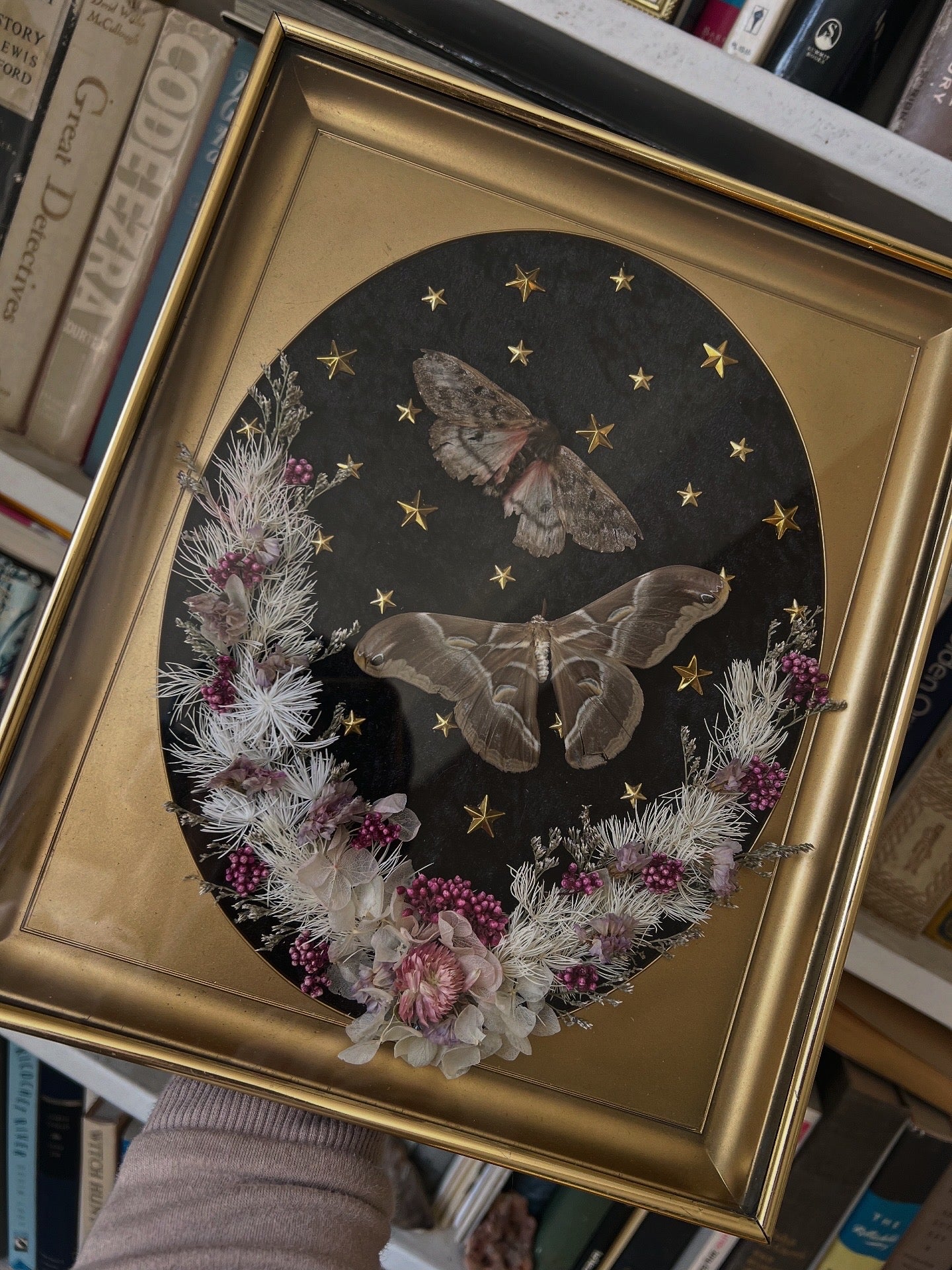Hellion Moth Botanical Dried Floral Celestial Whimsy Vintage Framed Artwork