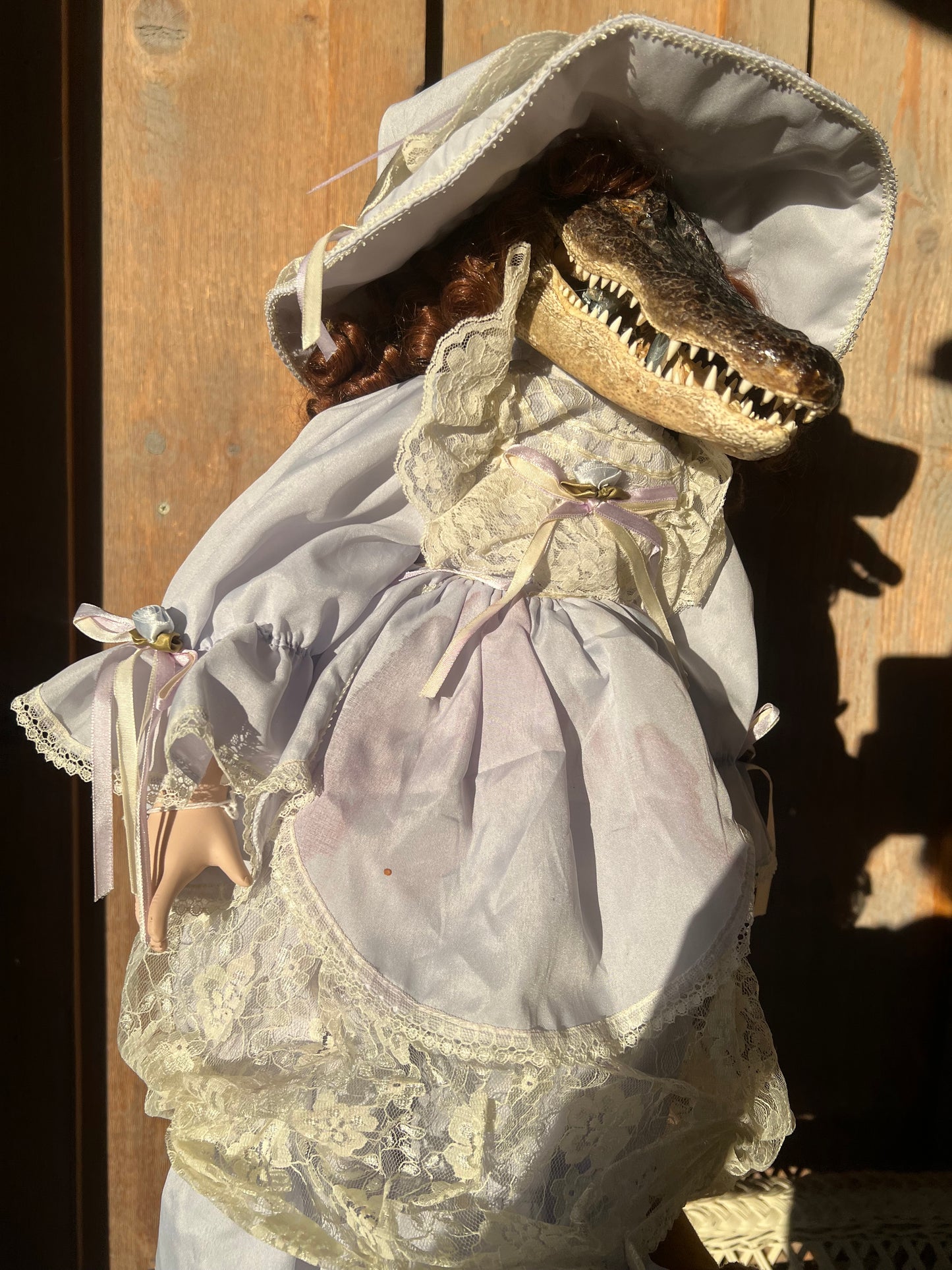 Peggy Sue Alligator Head Doll Taxidermy