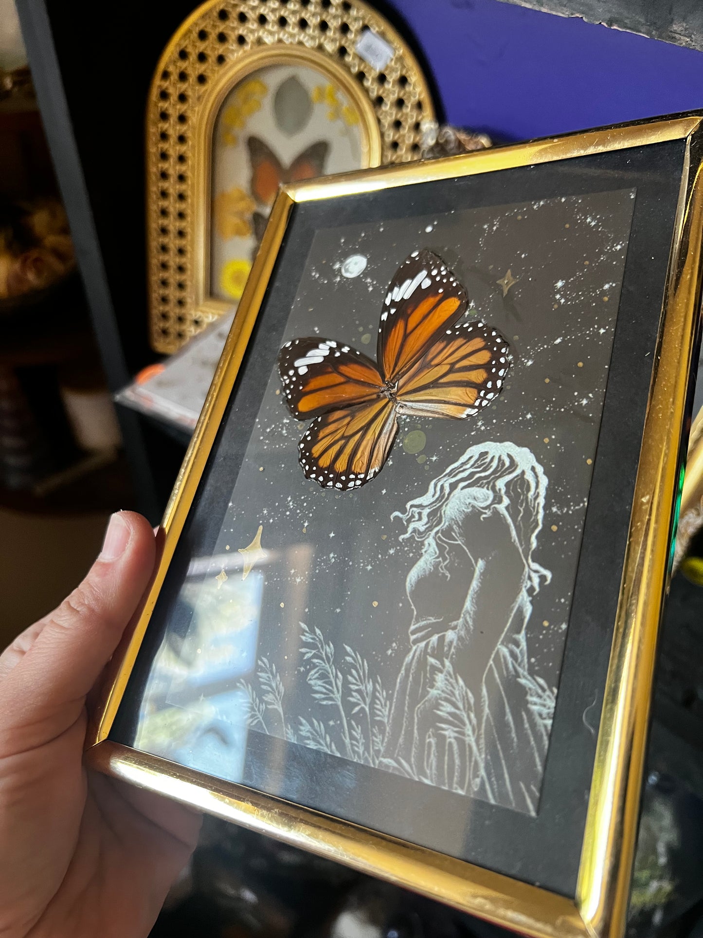 Framed Starry Sky Night Butterfly Wing Entomology Art