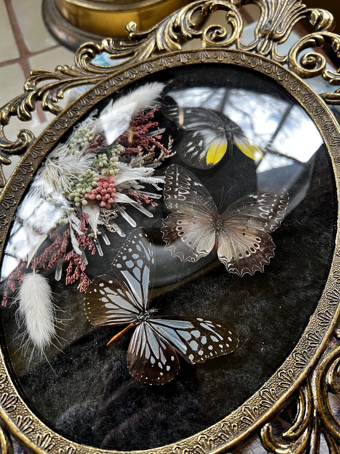 Vintage Ornate Bubble Glass Framed Triple Butterfly Artwork