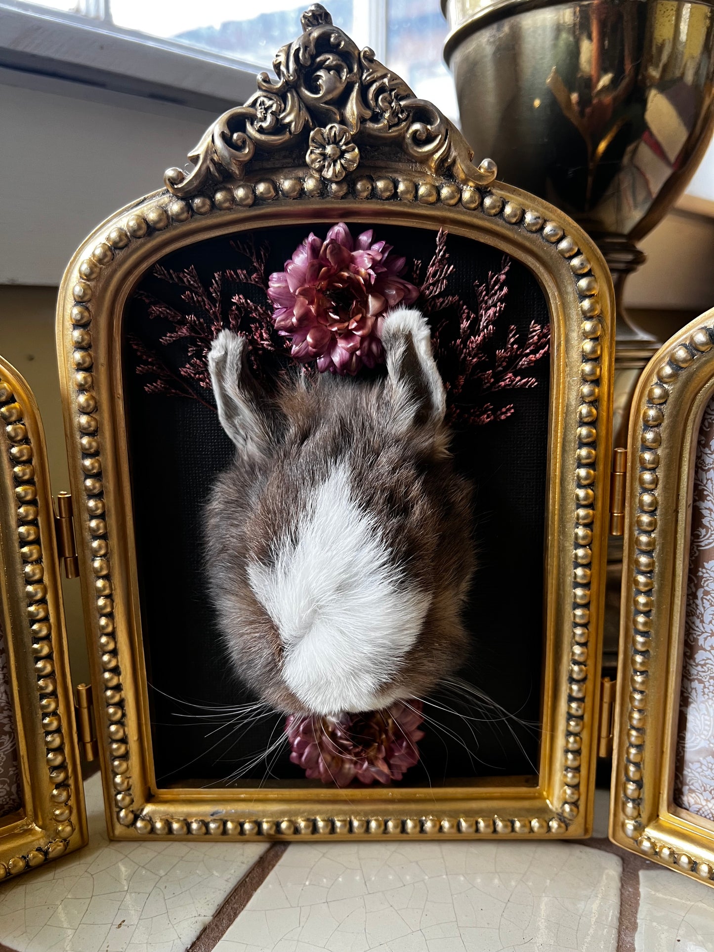 “Beatrice” Framed Rabbit Head Floral Butterfly Taxidermy Artwork