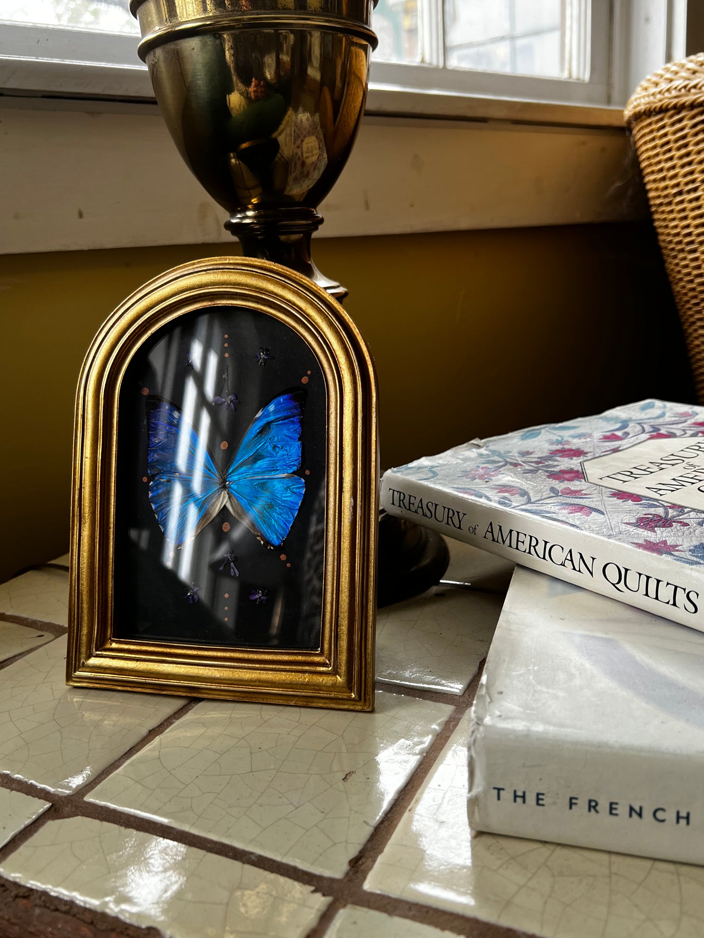 Vintage Style Framed Morpho Butterfly Artwork