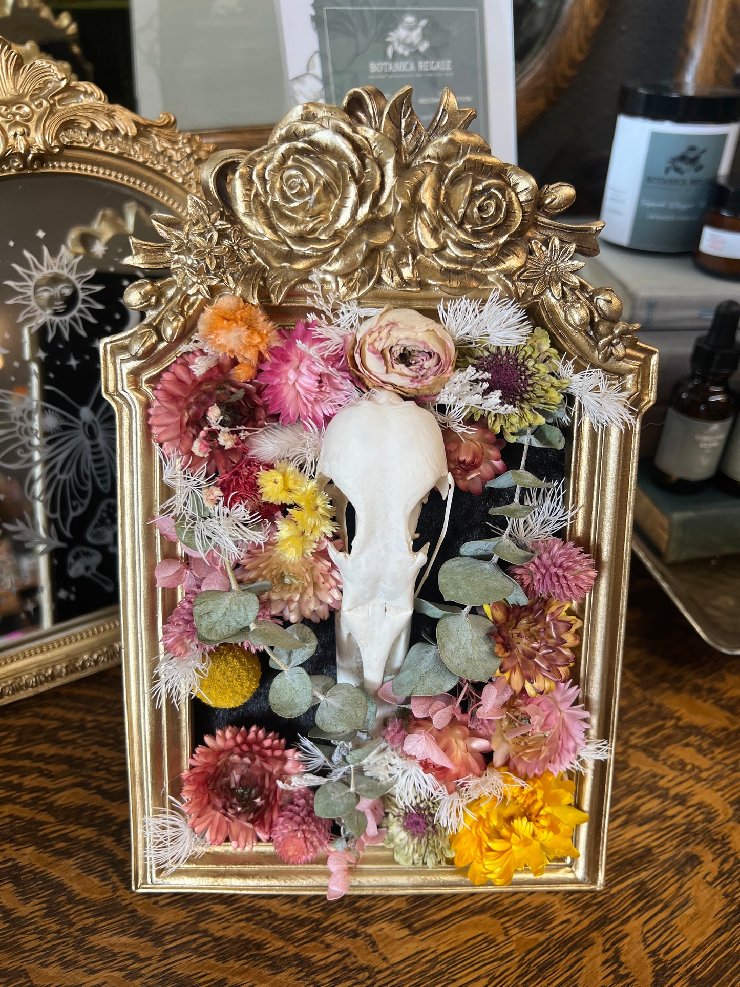 Giada Goose Skull Dried Floral Botanical Taxidermy Oddities Framed Artwork
