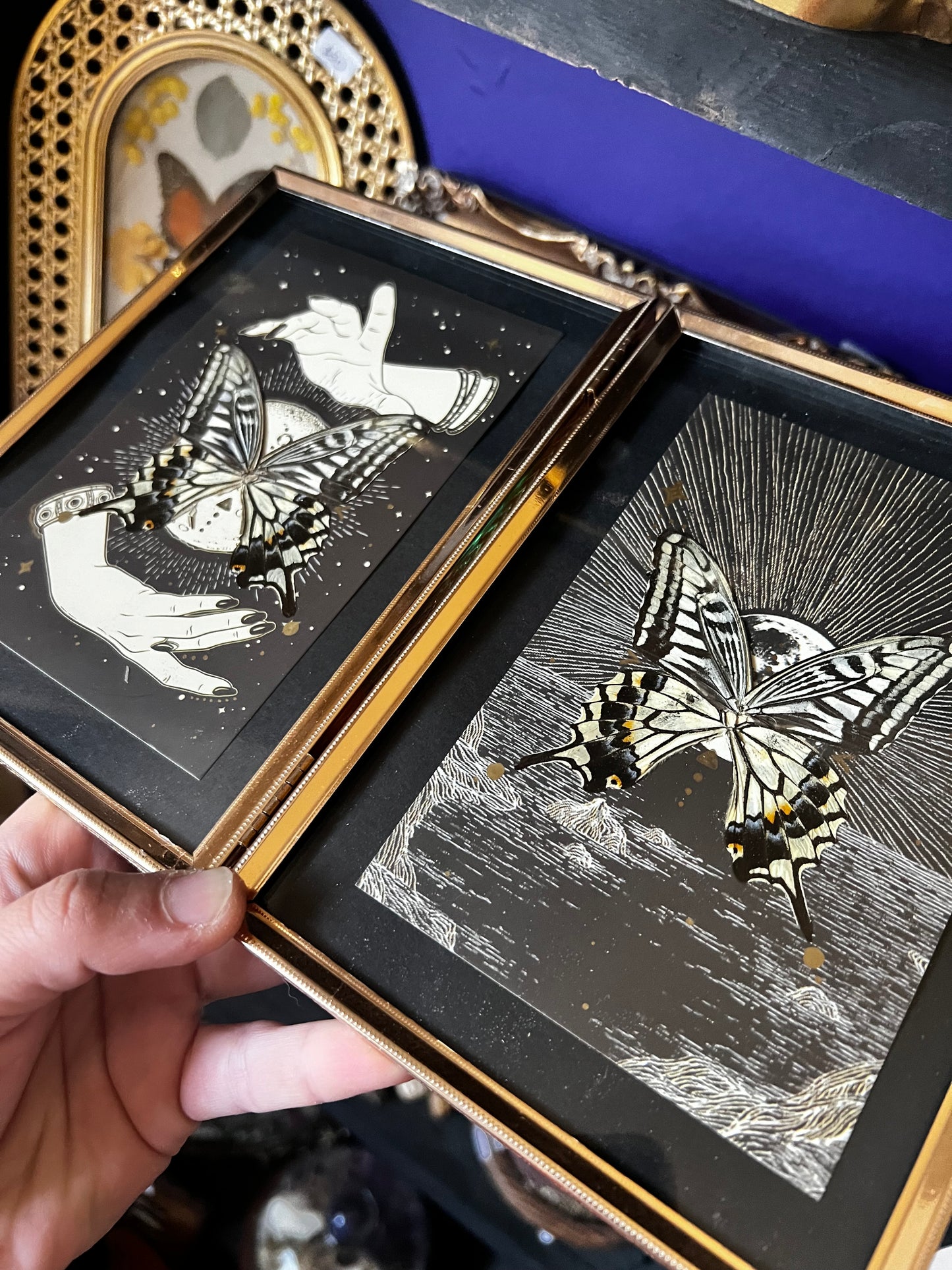 Double Framed Spiritual Art Swallowtail Butterfly Wing Entomology Art