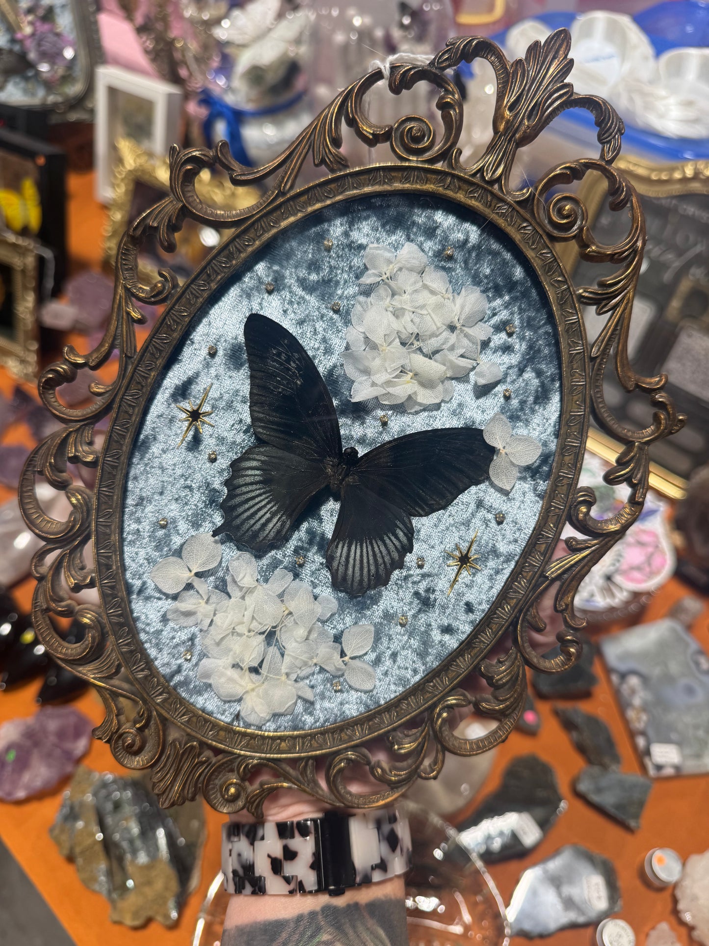 Iris Butterfly Floral Celestial Vintage Bubble Glass Framed Artwork