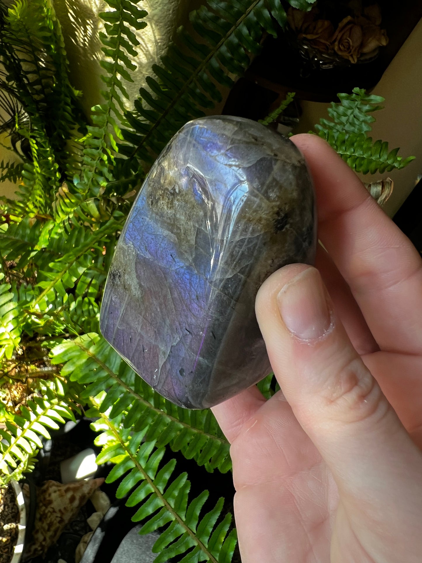 Labradorite Freeform #D