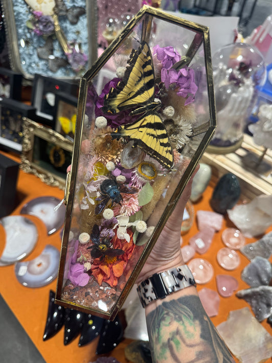 Lanella Butterfly Bee Insect Oddities Entomology Floral Crystal Coffin Terrarium Artwork