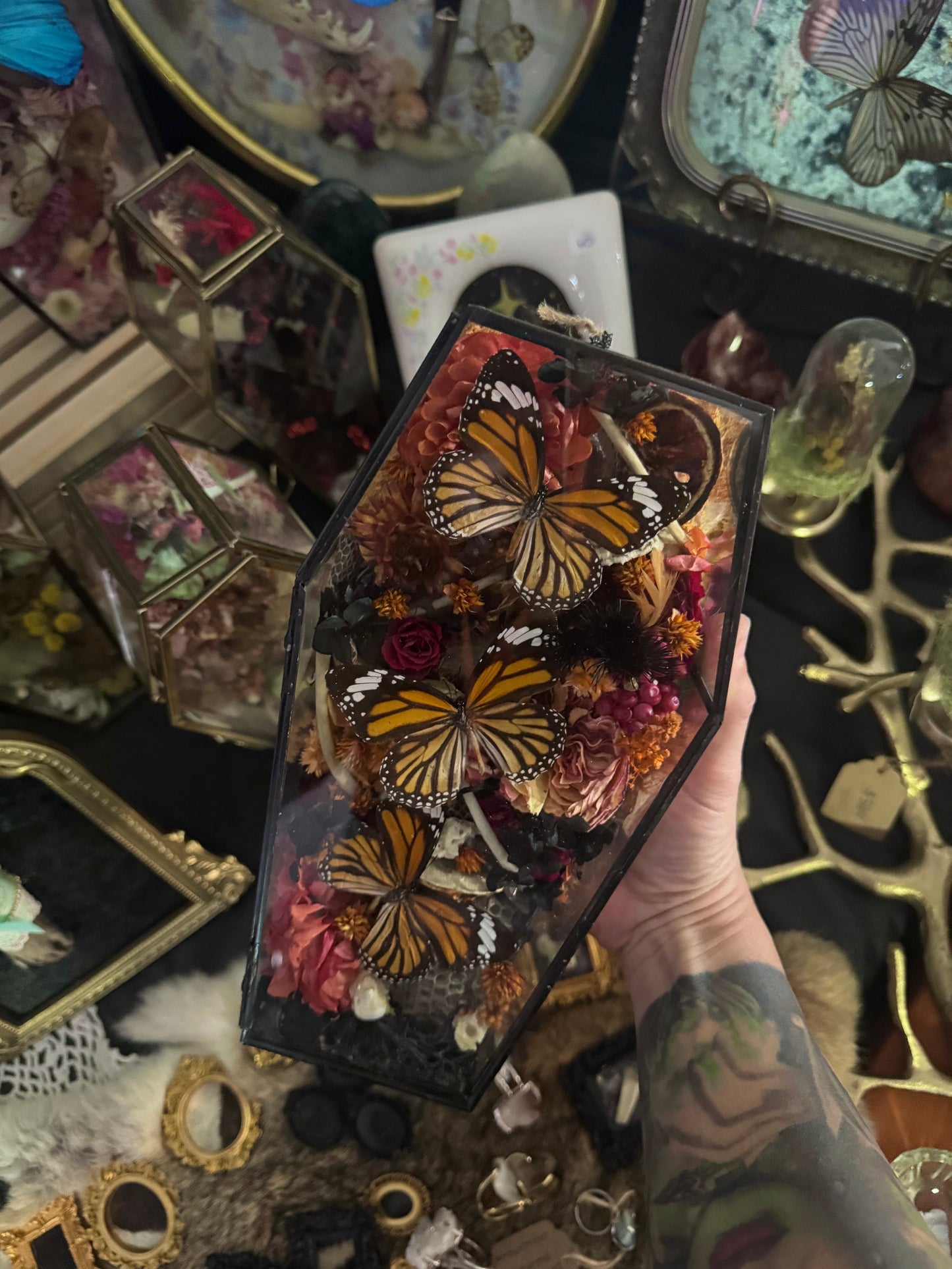 Selene Coffin Terrarium Entomology Insect Floral Spooky Season Oddities Artwork