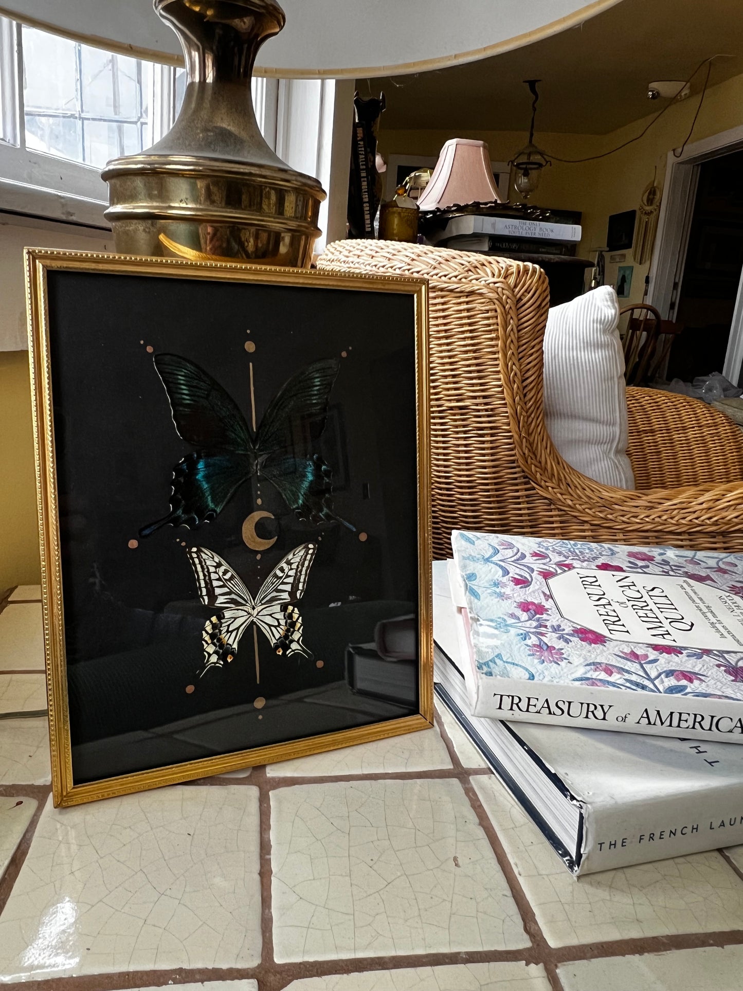 Celestial Vintage Metal Frame Butterfly Entomology Artwork