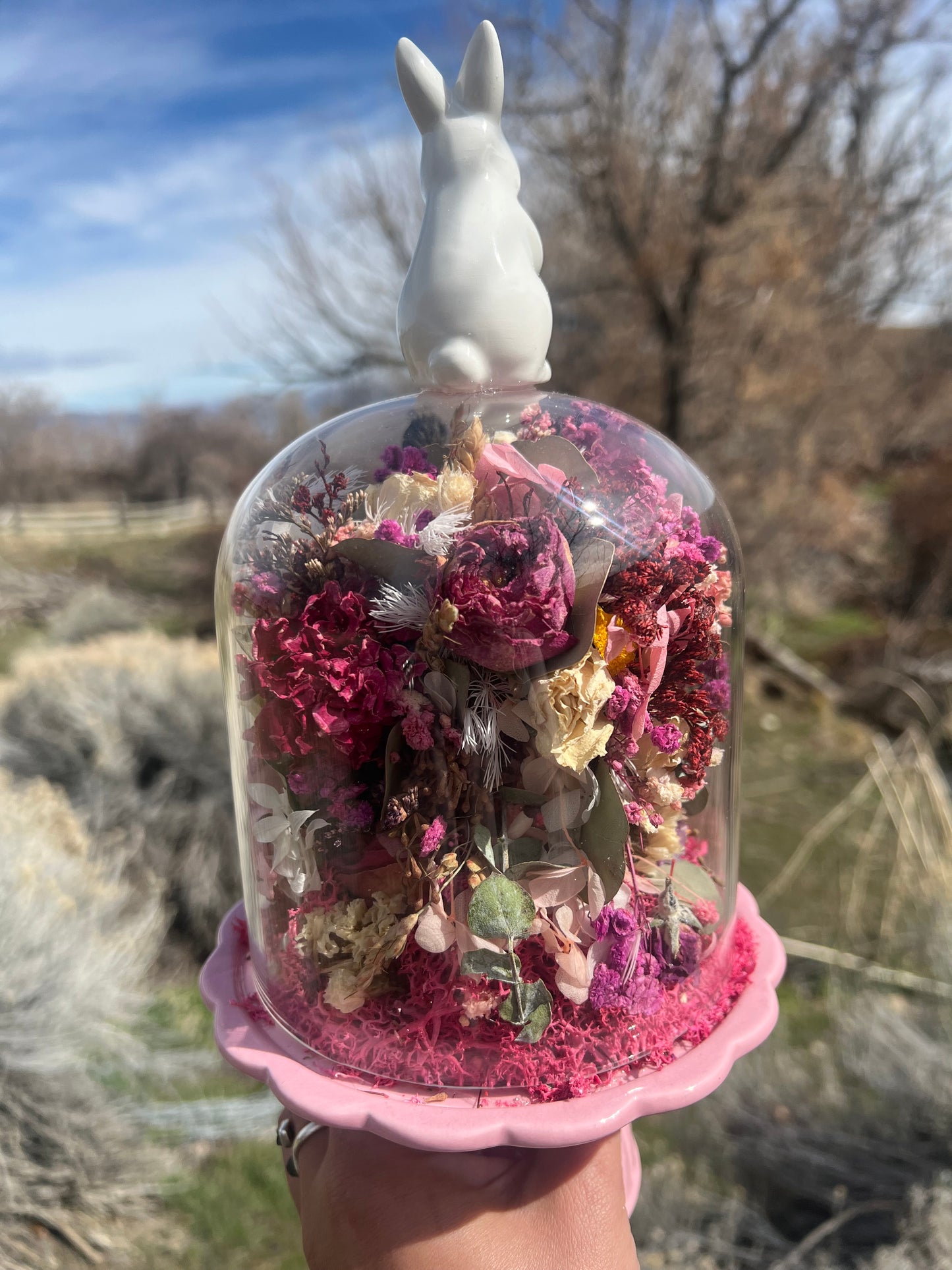 Primrose Rabbit Bunny Head Botanical Dried Flower Pink Spring Oddities Taxidermy Glass Cloche Dome Artwork