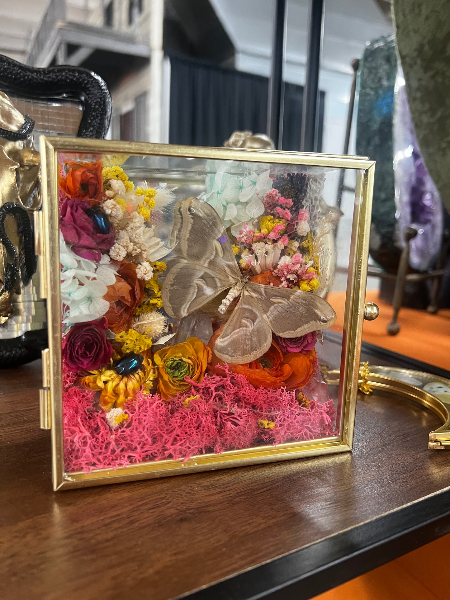 “Flo” Butterfly Moth Beetle Insect Floral Botanical Taxidermy Oddities Shadowbox Artwork