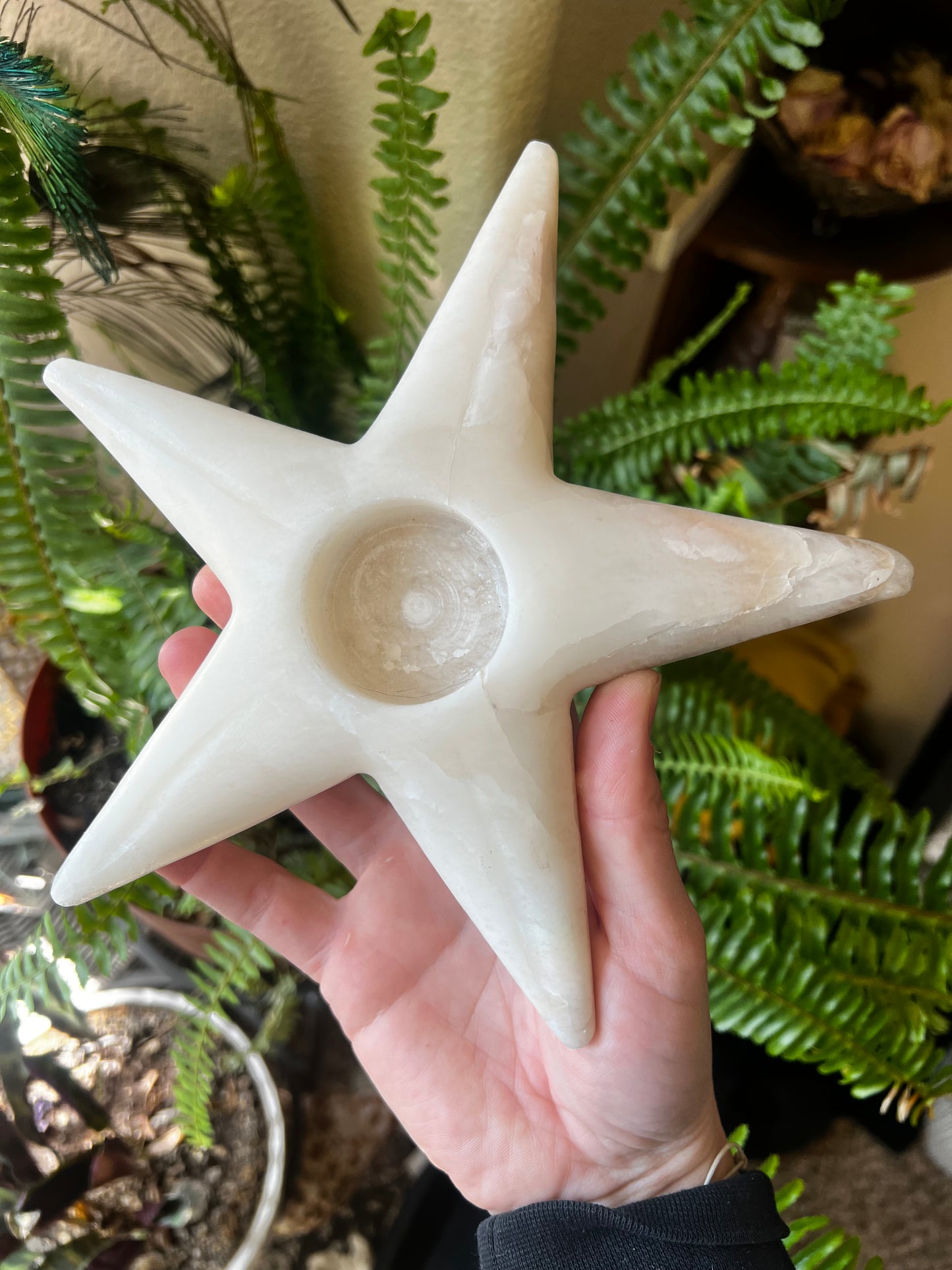 Calcite Starfish Candle Holder Carving