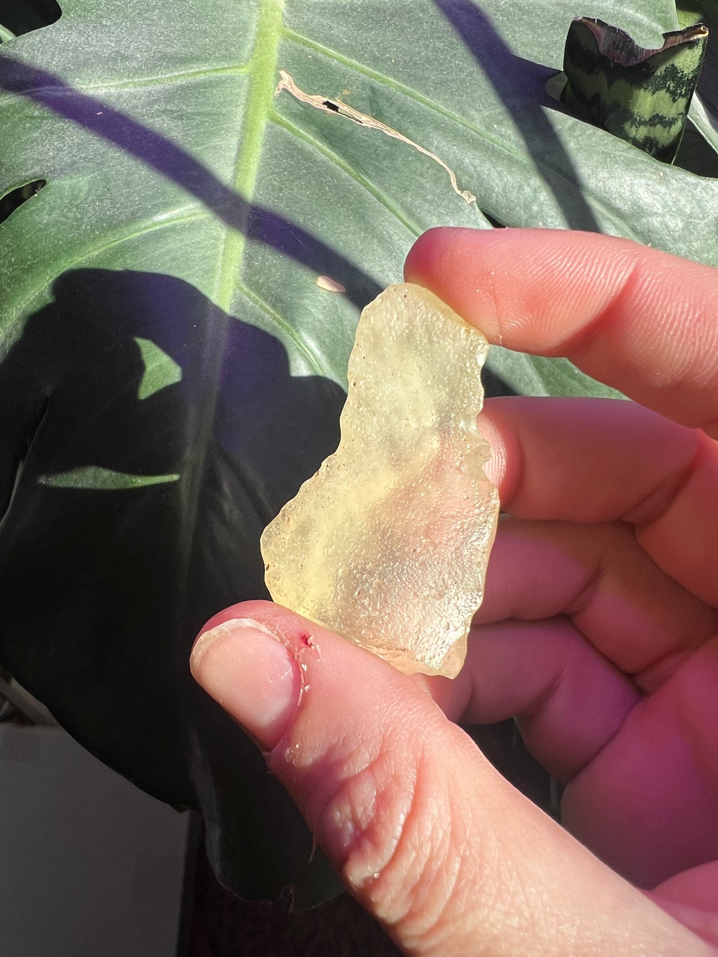 Libyan Desert Glass #A