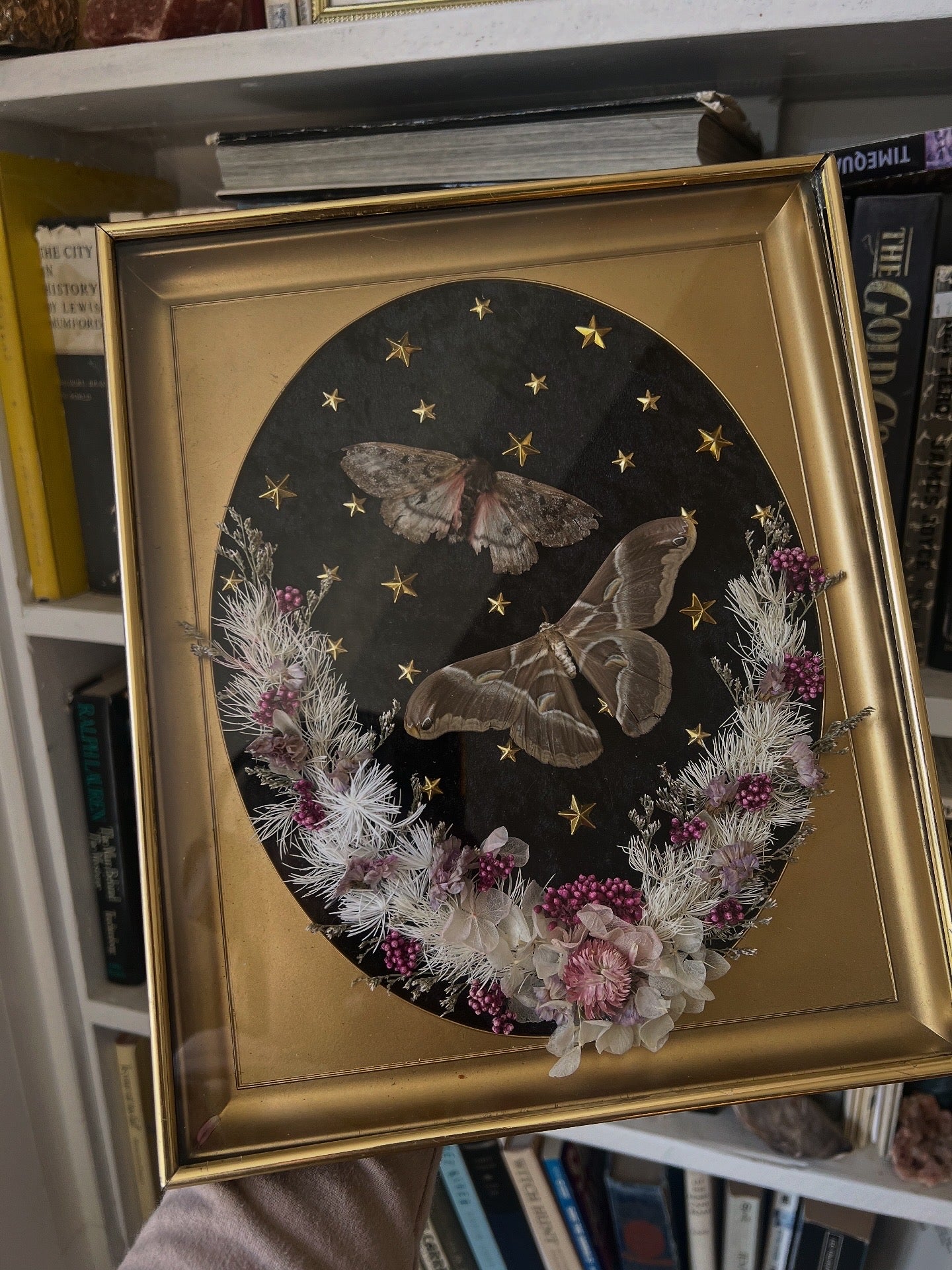 Hellion Moth Botanical Dried Floral Celestial Whimsy Vintage Framed Artwork