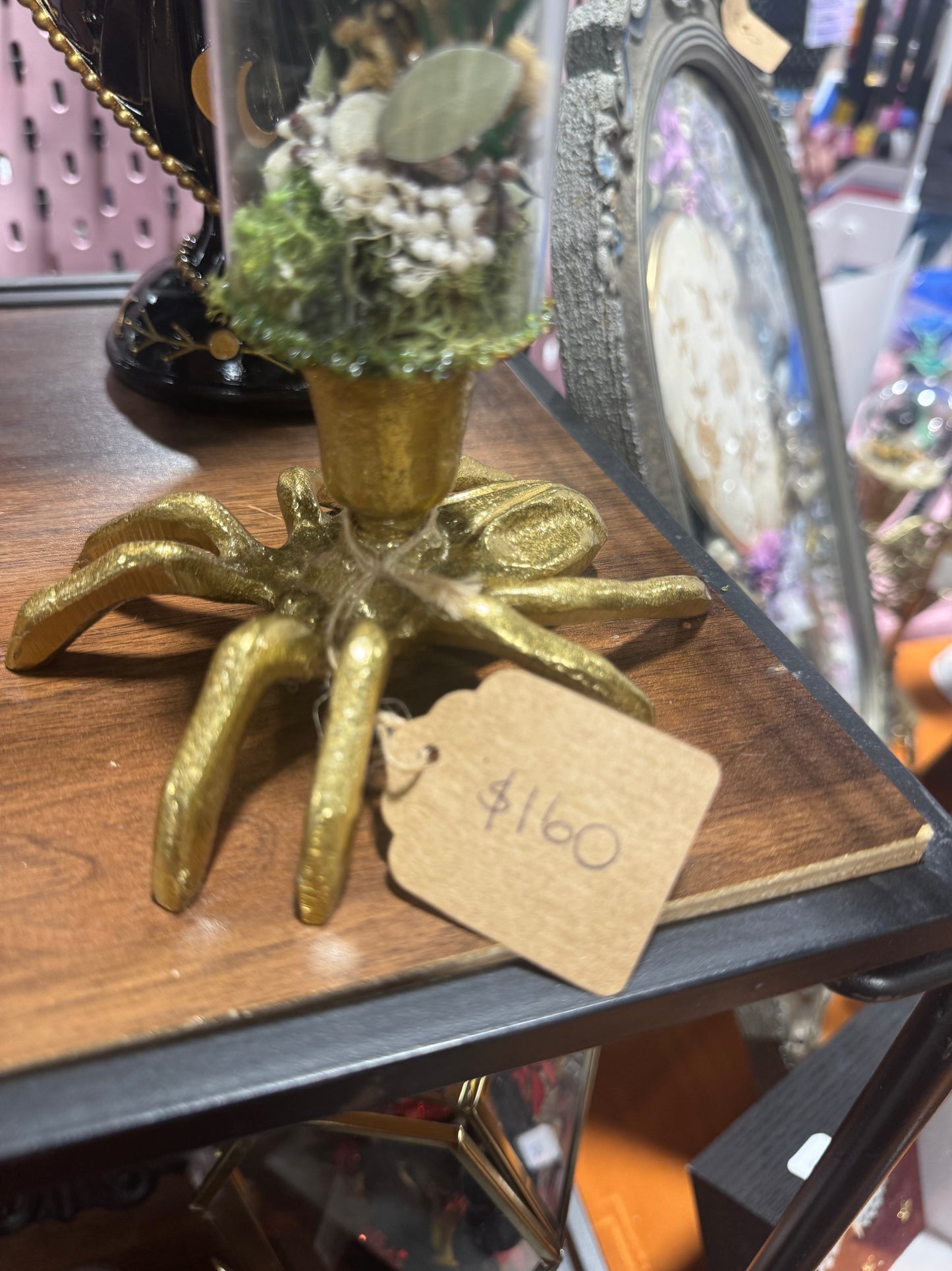 Natasha Black Widow Spider Floral Botanical Glass Dome Artwork