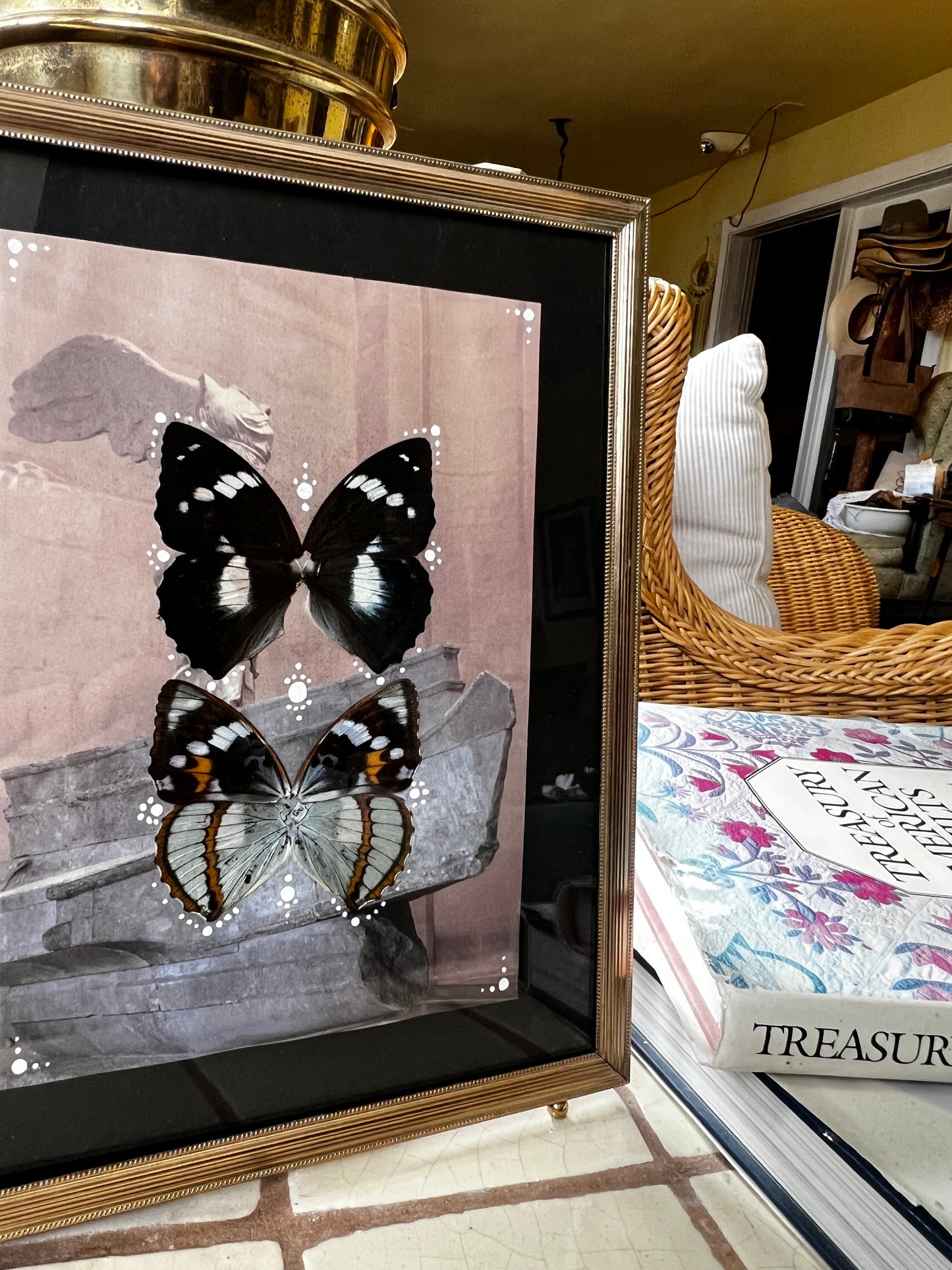 Whimsical Butterfly Wing Entomology Artwork