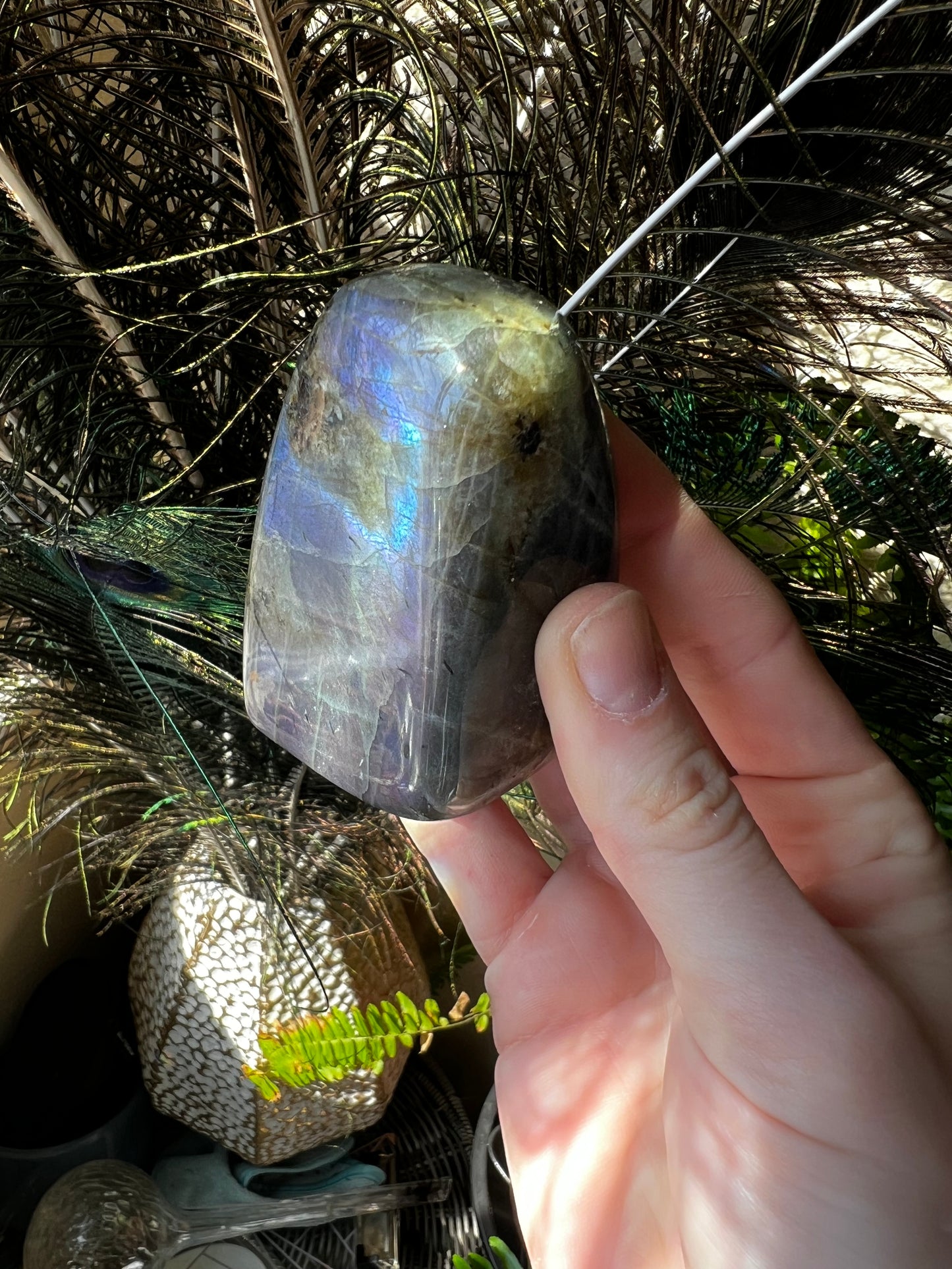 Labradorite Freeform #D