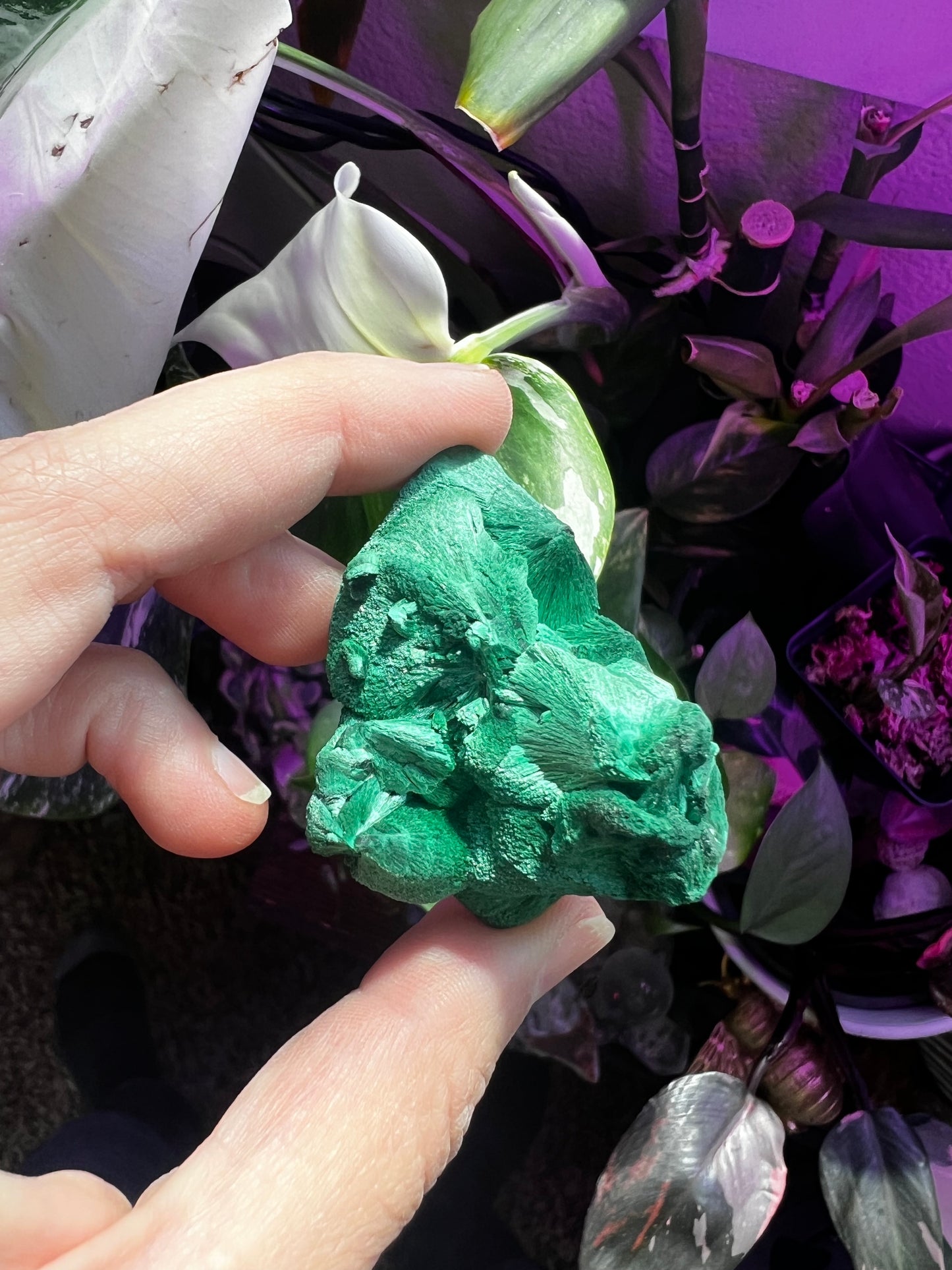 Botryoidal Velvet Fibrous Malachite #D