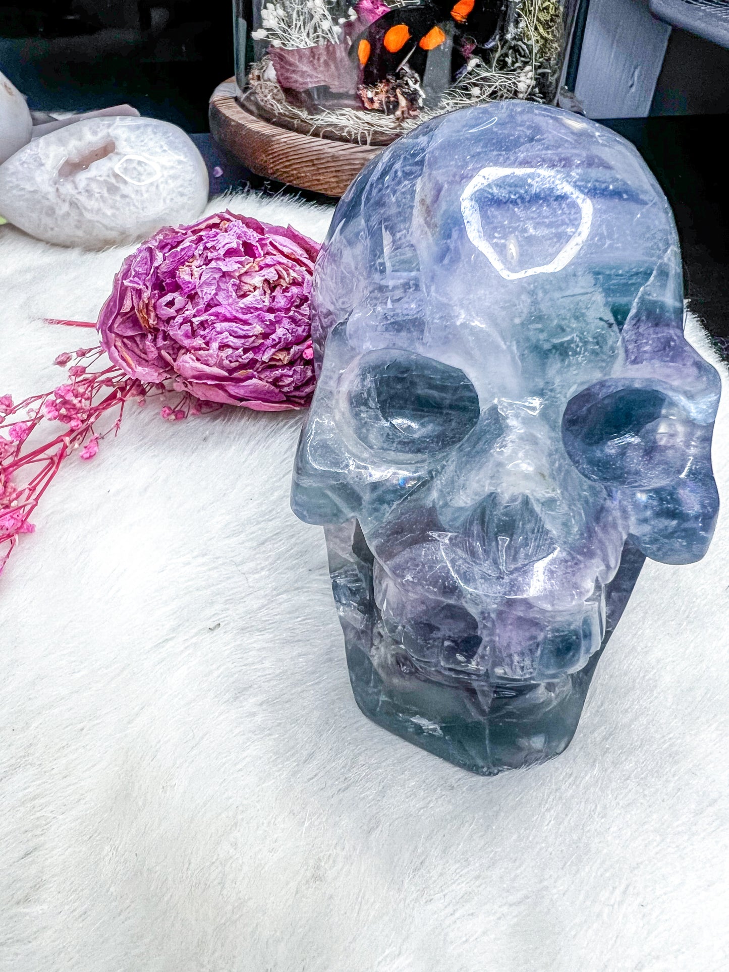 Large Fluorite Skull