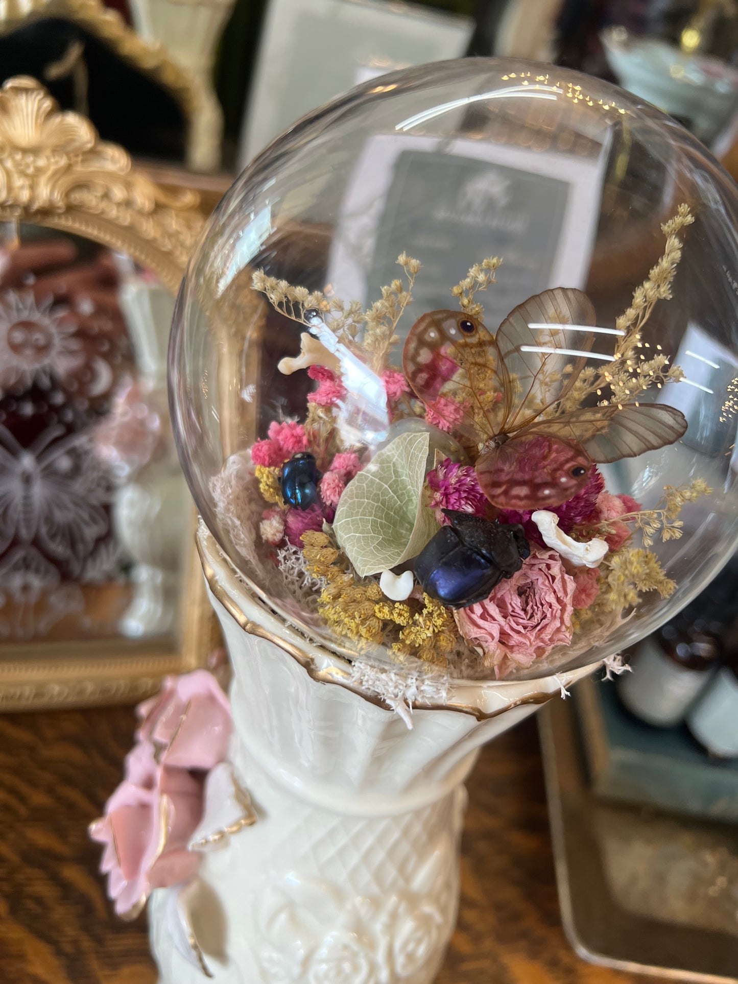 Frances Butterfly Beetle Insect Dried Flower Botanical Animal Bones Glass Dome Vintage Ceramic Artwork