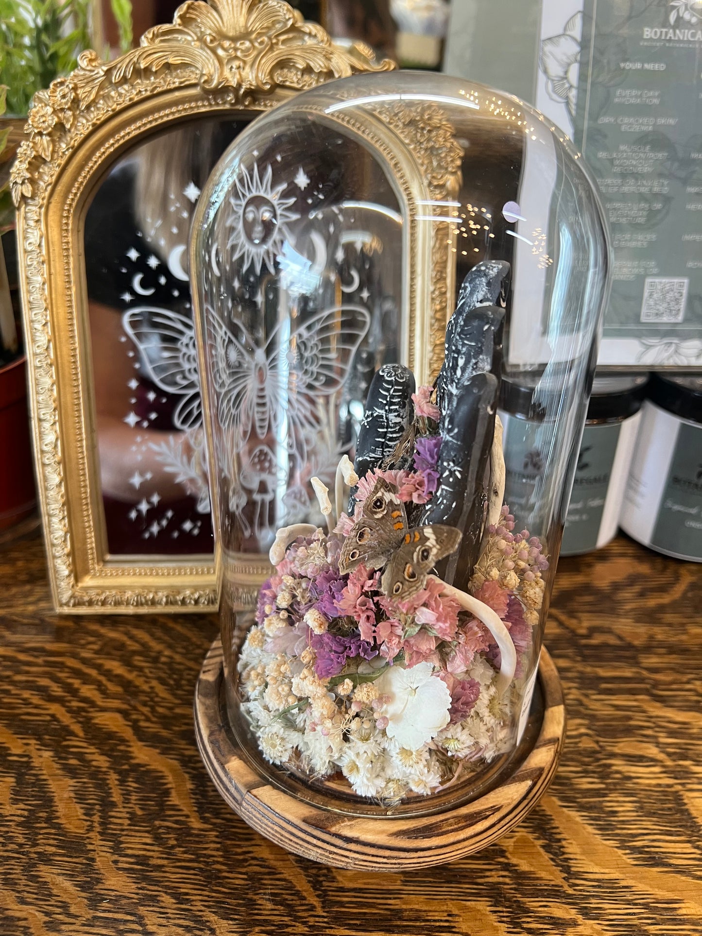 Zadie Butterfly Insect Entomology Animal Bone floral Botanical Oddities Taxidermy Glass Dome Artwotk
