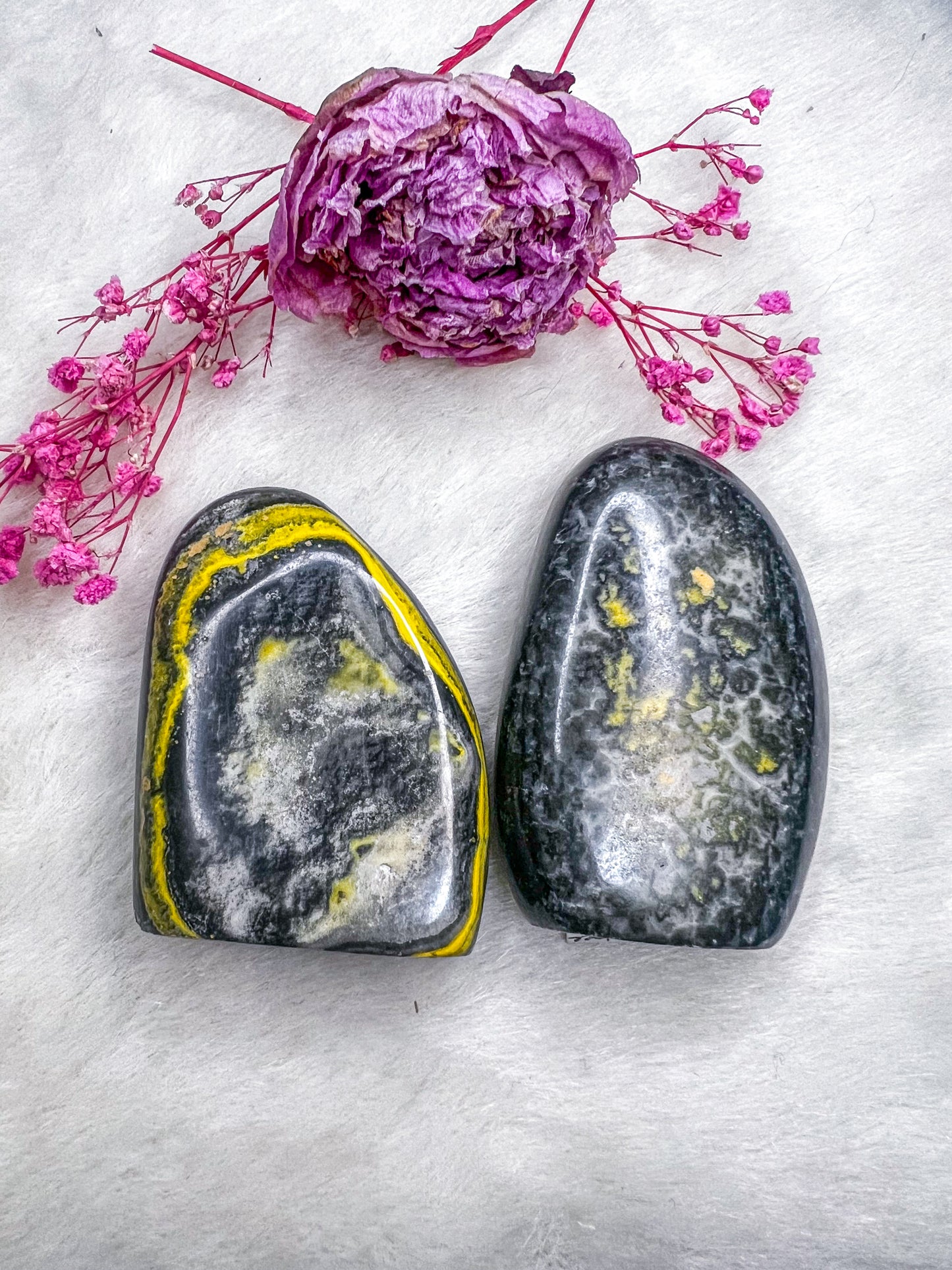 Bumblebee Jasper Freeforms