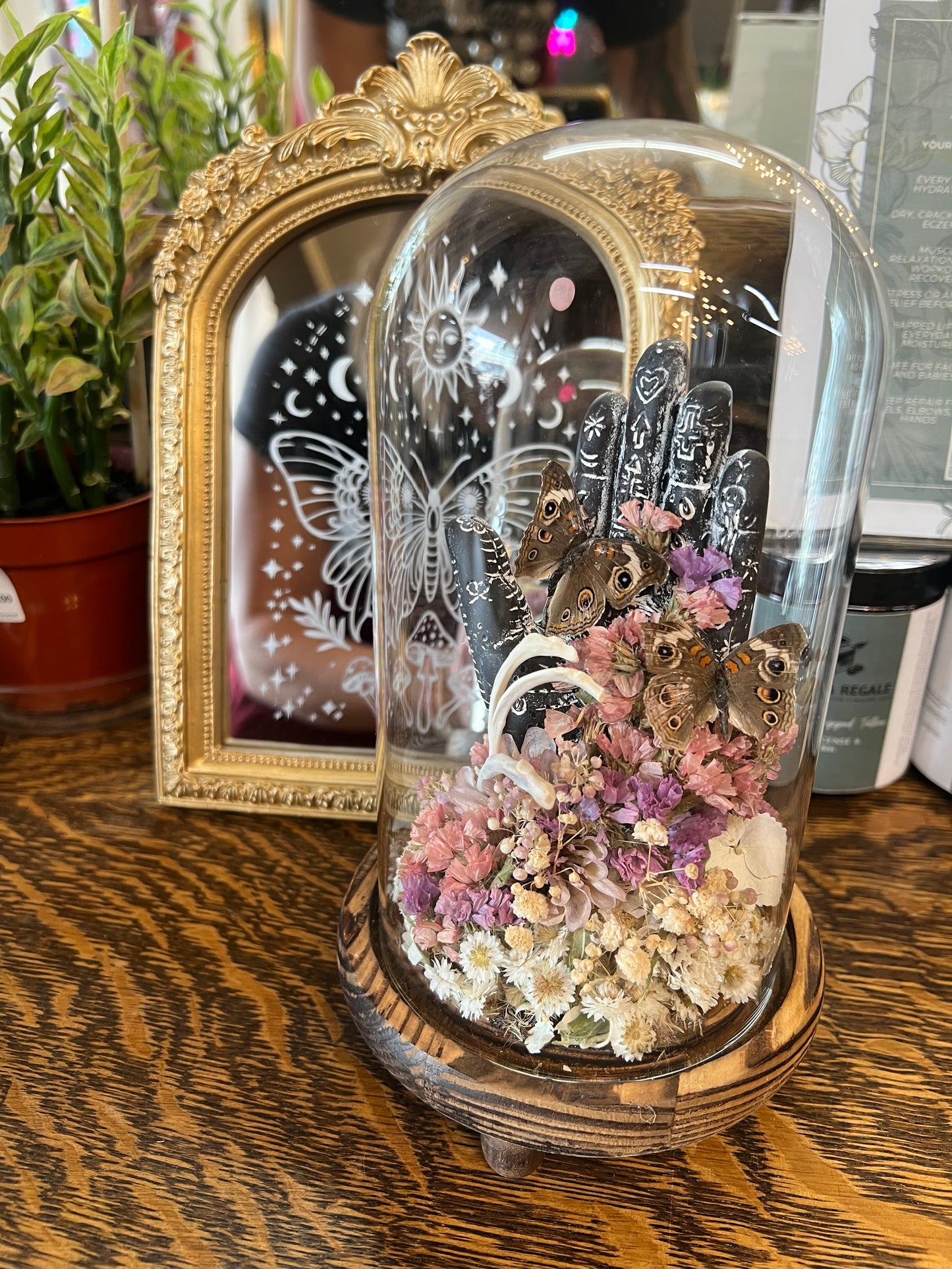 Zadie Butterfly Insect Entomology Animal Bone floral Botanical Oddities Taxidermy Glass Dome Artwotk