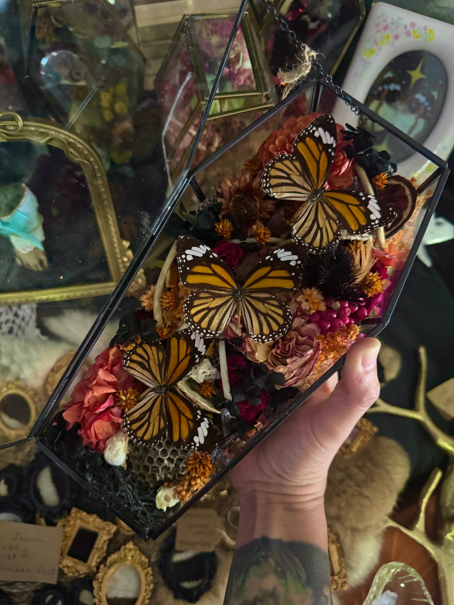 Oddities & Taxidermy