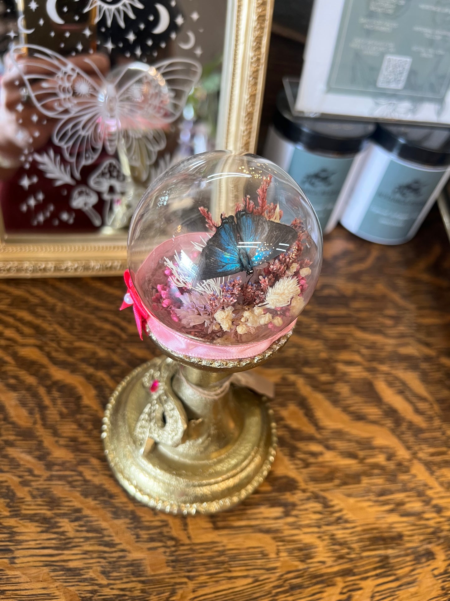 Gigi Butterfly Oddities Butterfly Insect Dried Floral Pink Glass Dome Artwork