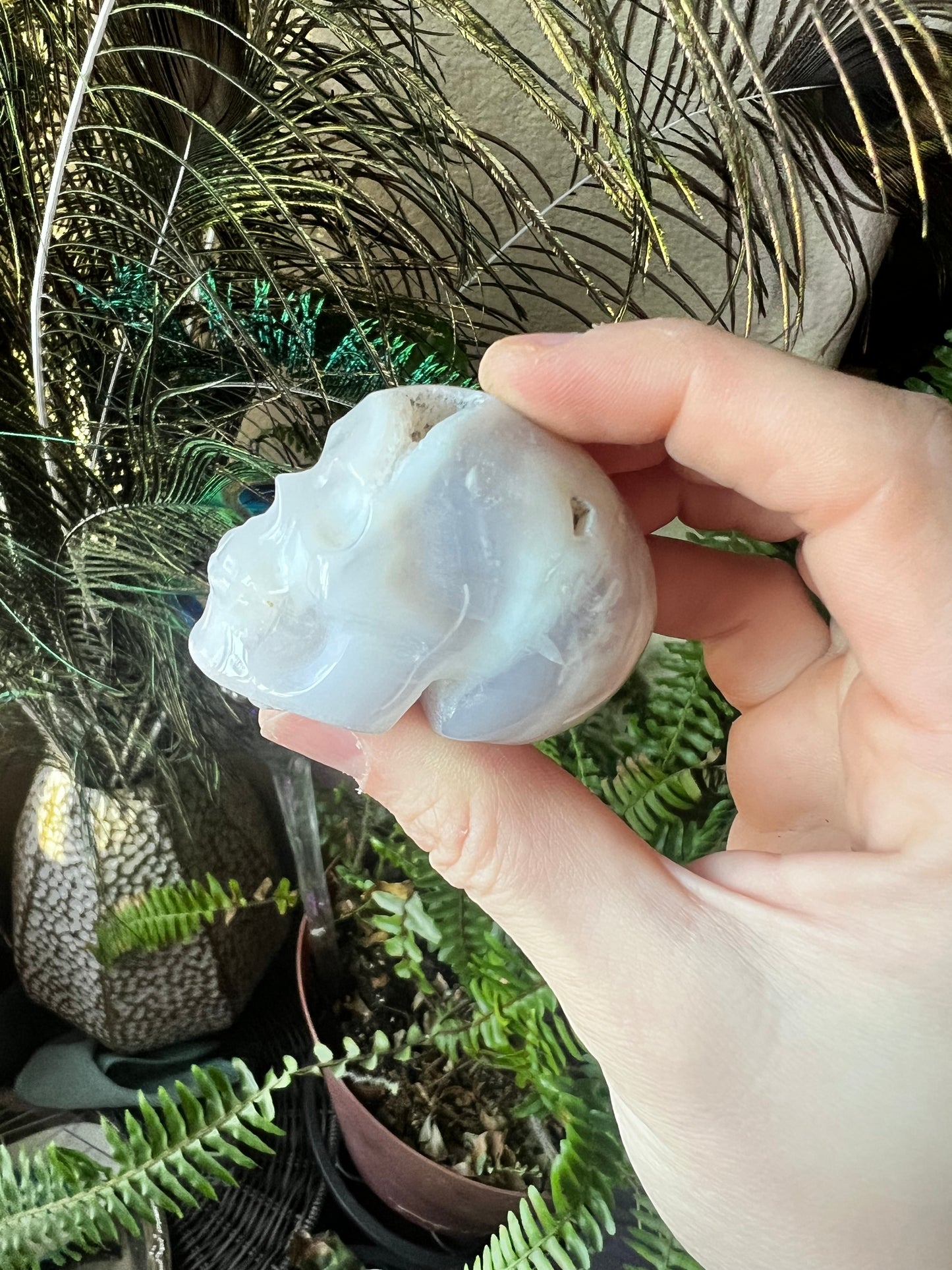 Druzy White Agate Skull