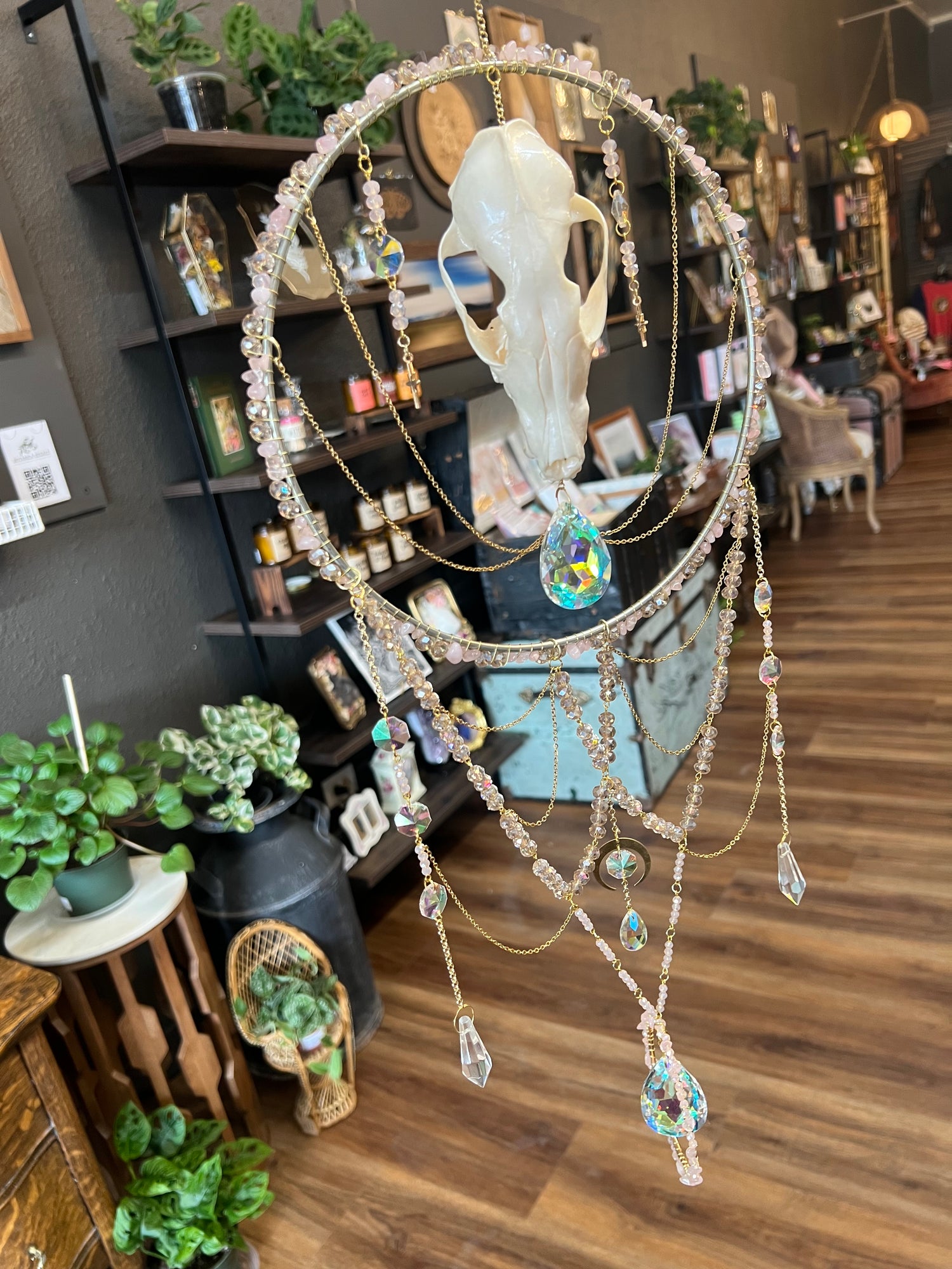 Oddities & Taxidermy