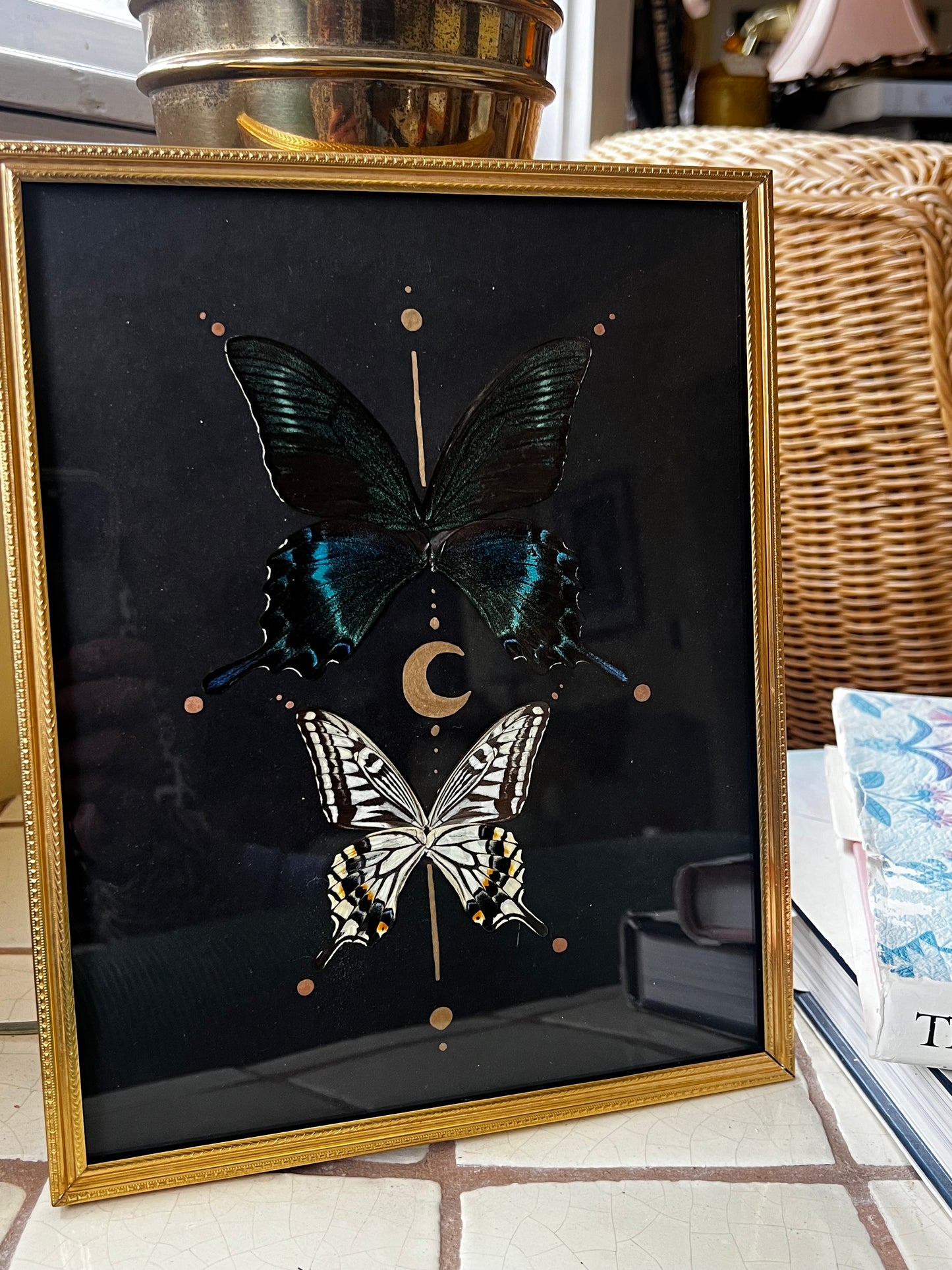 Celestial Vintage Metal Frame Butterfly Entomology Artwork