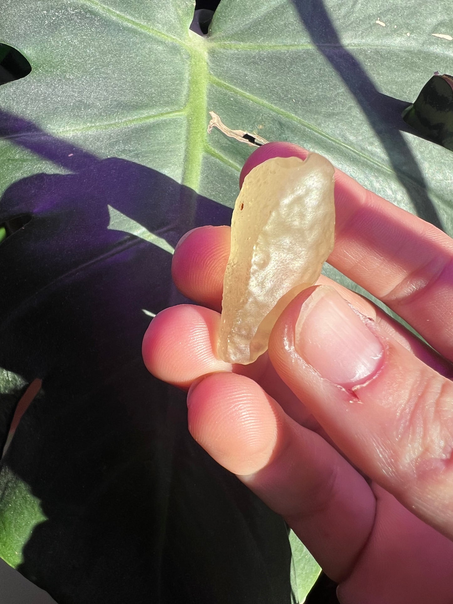 Libyan Desert Glass #B