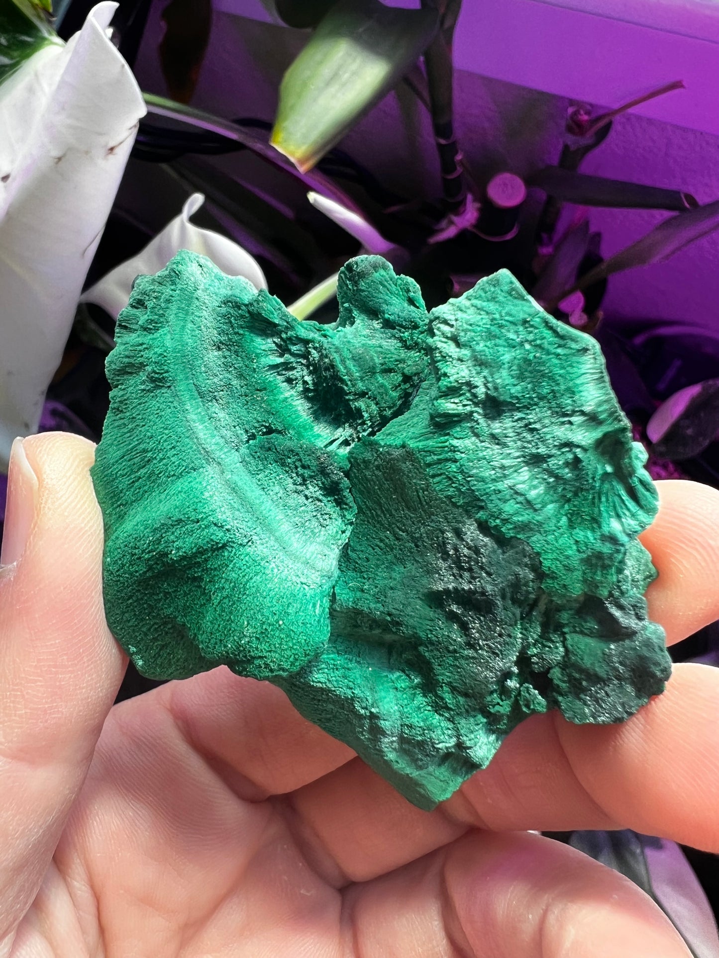 Botryoidal Velvet Fibrous Malachite #E