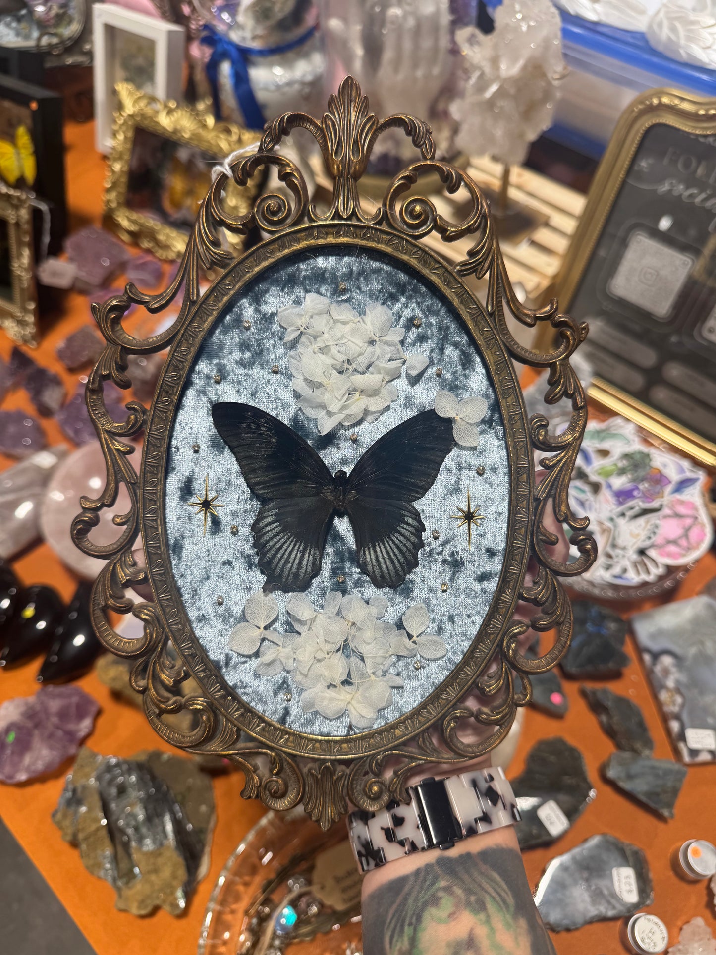 Iris Butterfly Floral Celestial Vintage Bubble Glass Framed Artwork