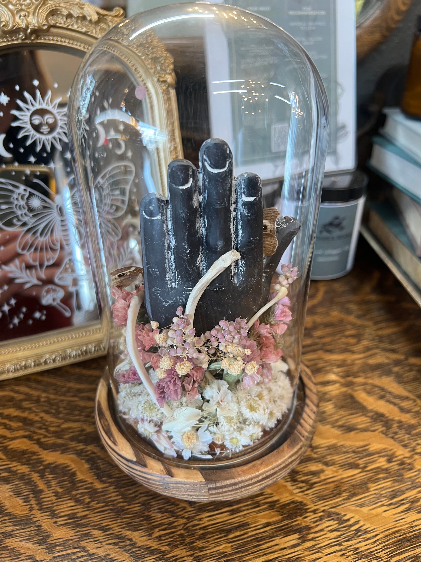 Zadie Butterfly Insect Entomology Animal Bone floral Botanical Oddities Taxidermy Glass Dome Artwotk