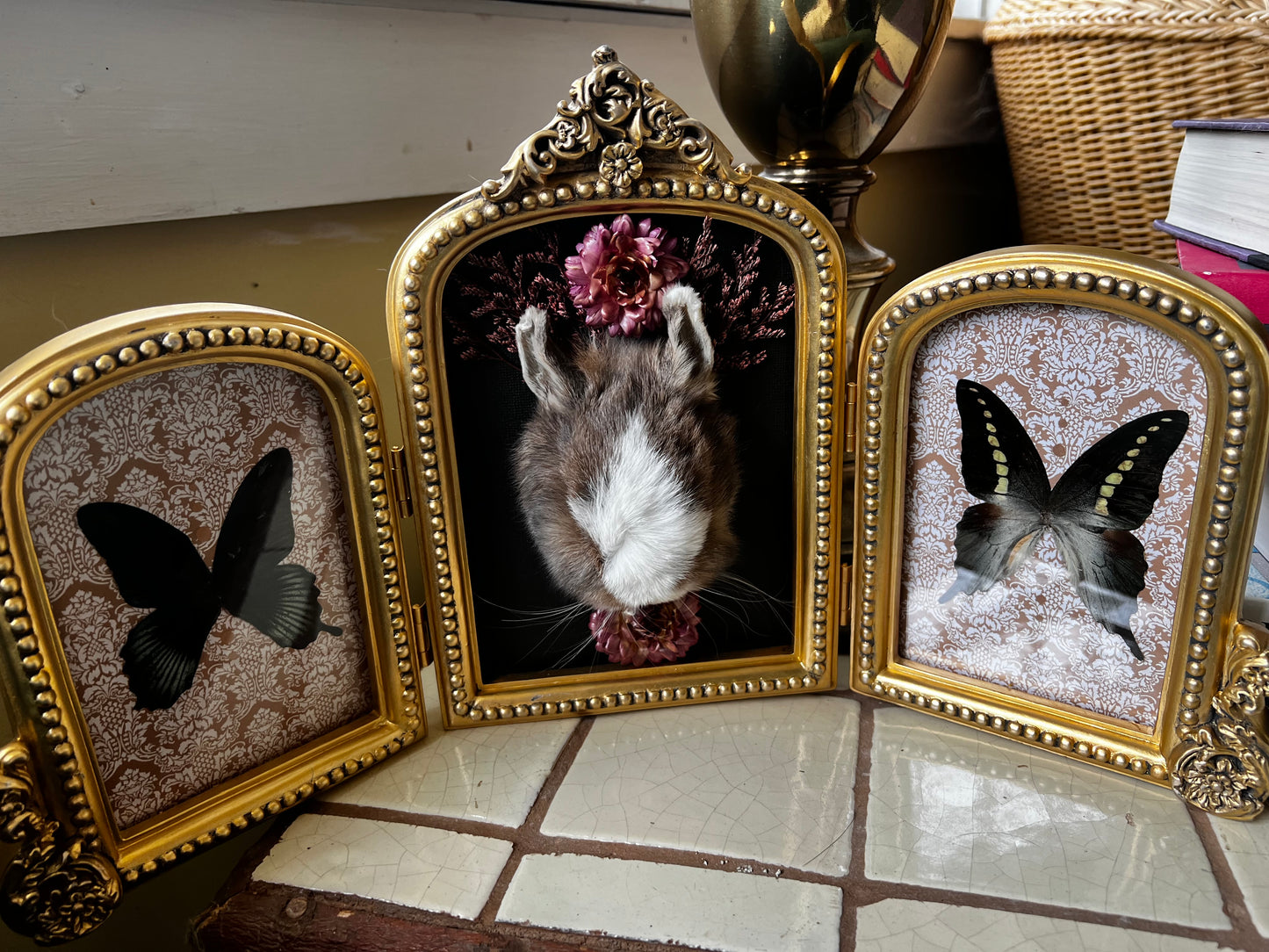 “Beatrice” Framed Rabbit Head Floral Butterfly Taxidermy Artwork