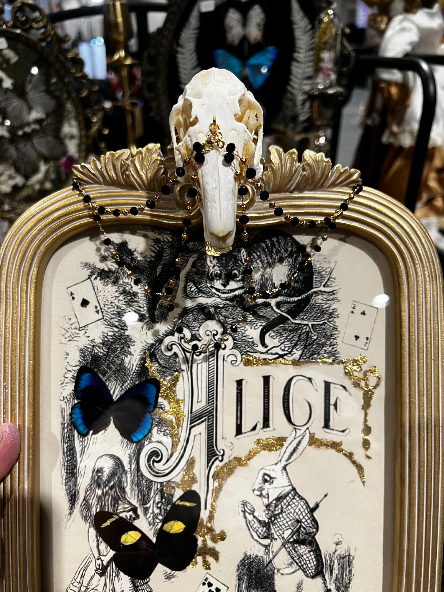 Alice in Wonderland Rabbit Skull Butterfly Taxidermy Oddities Artwork