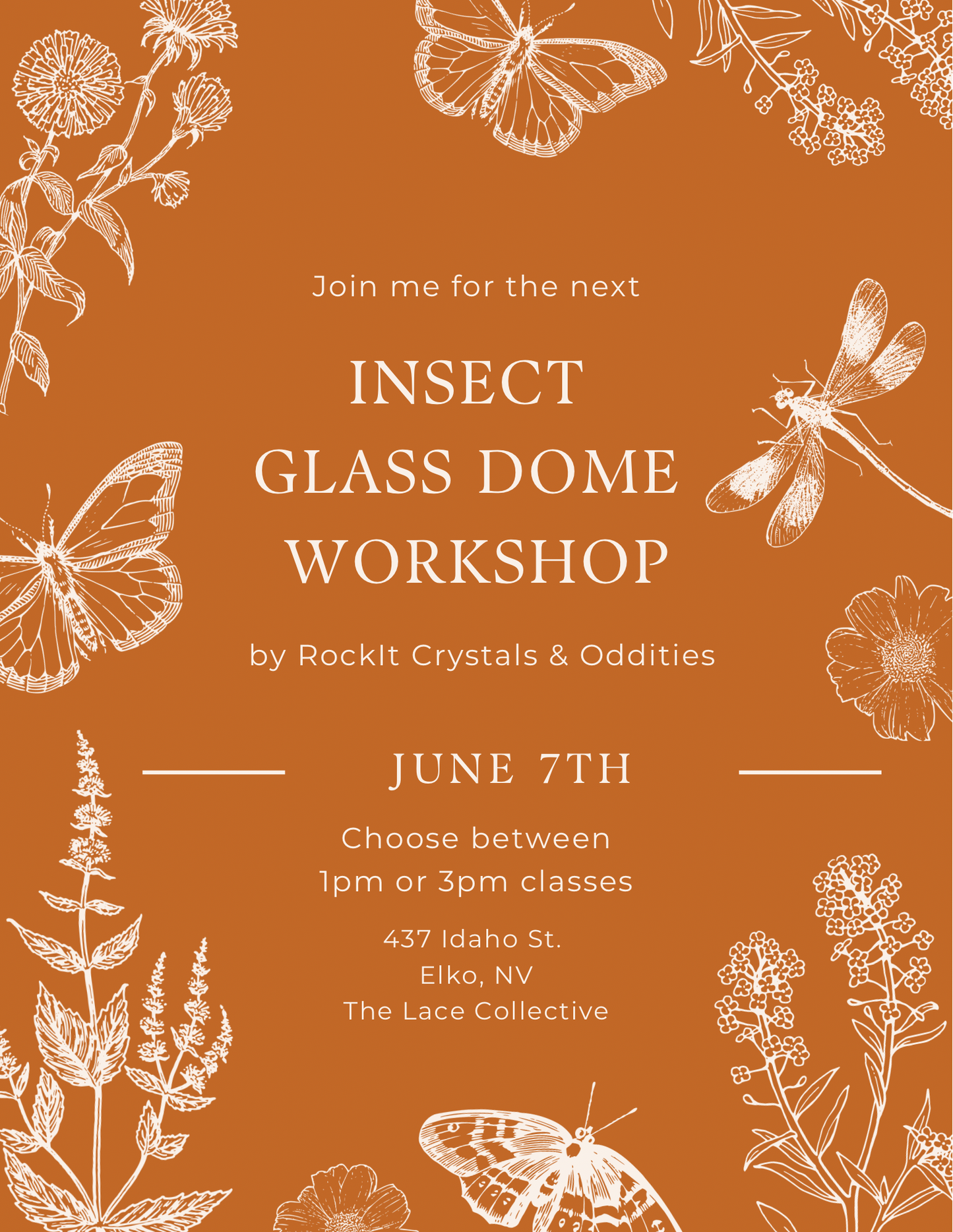Insect Glass Dome Workshop