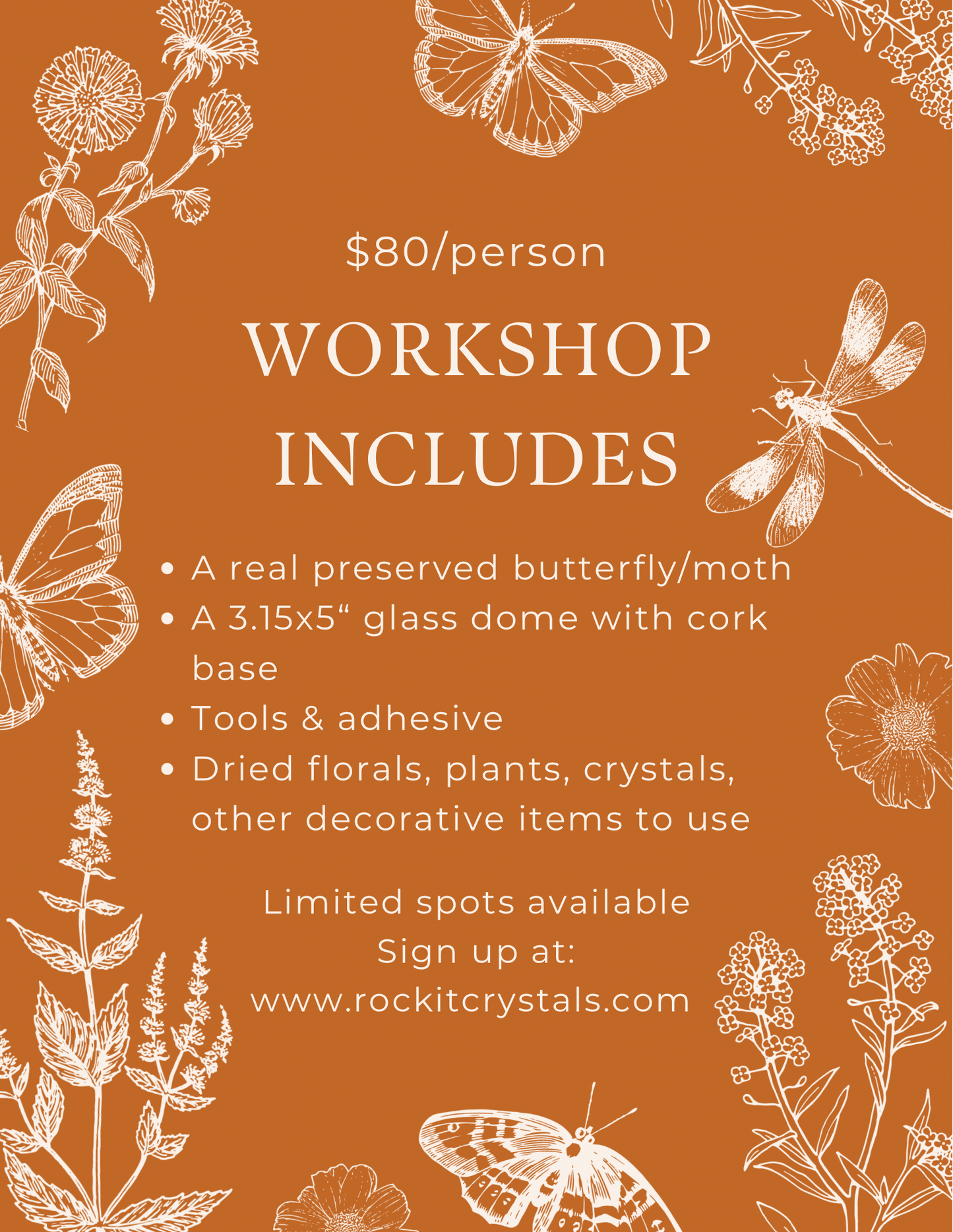 Insect Glass Dome Workshop