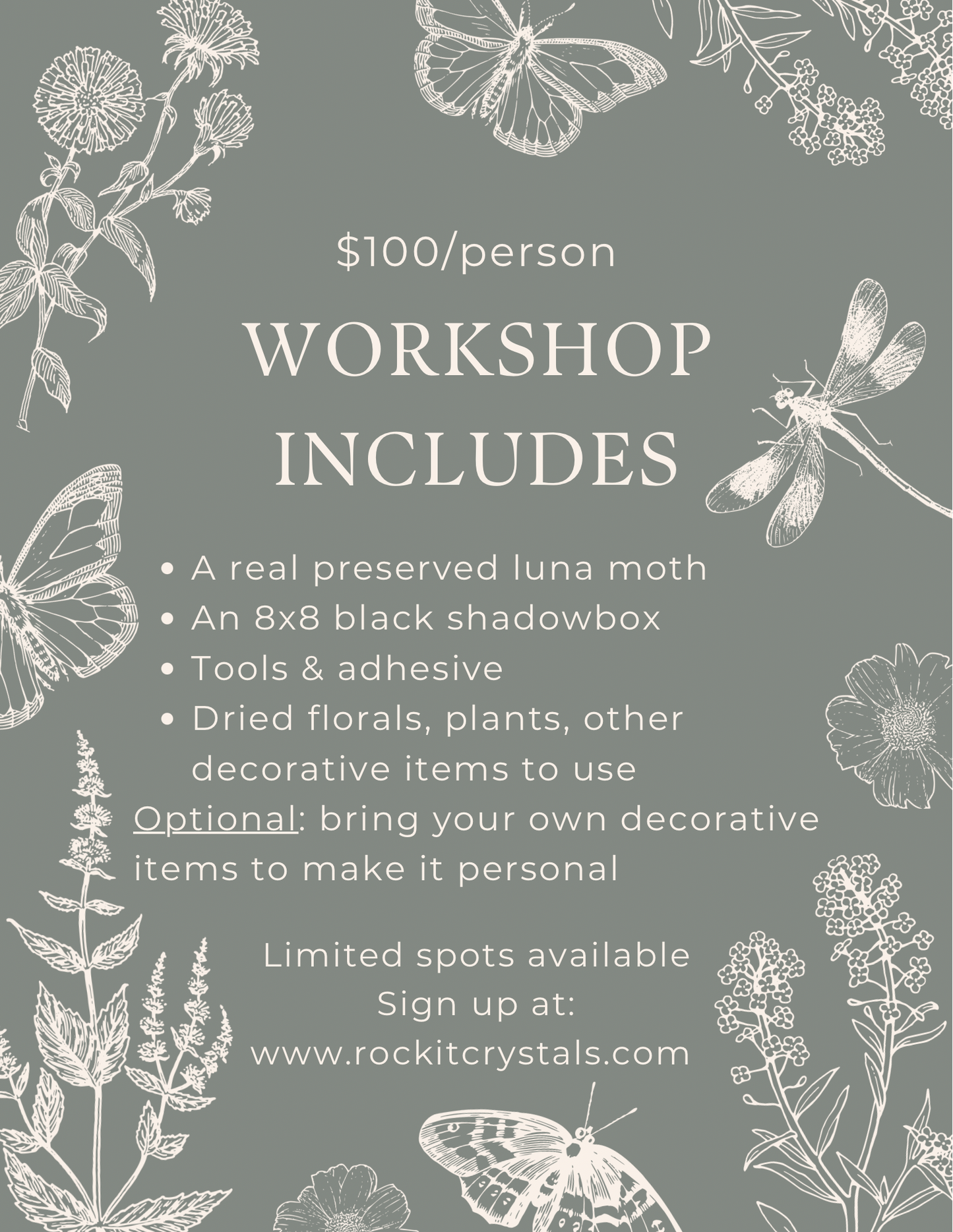 Luna Moth Shadowbox Workshop