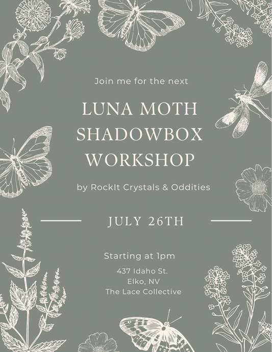 Luna Moth Shadowbox Workshop