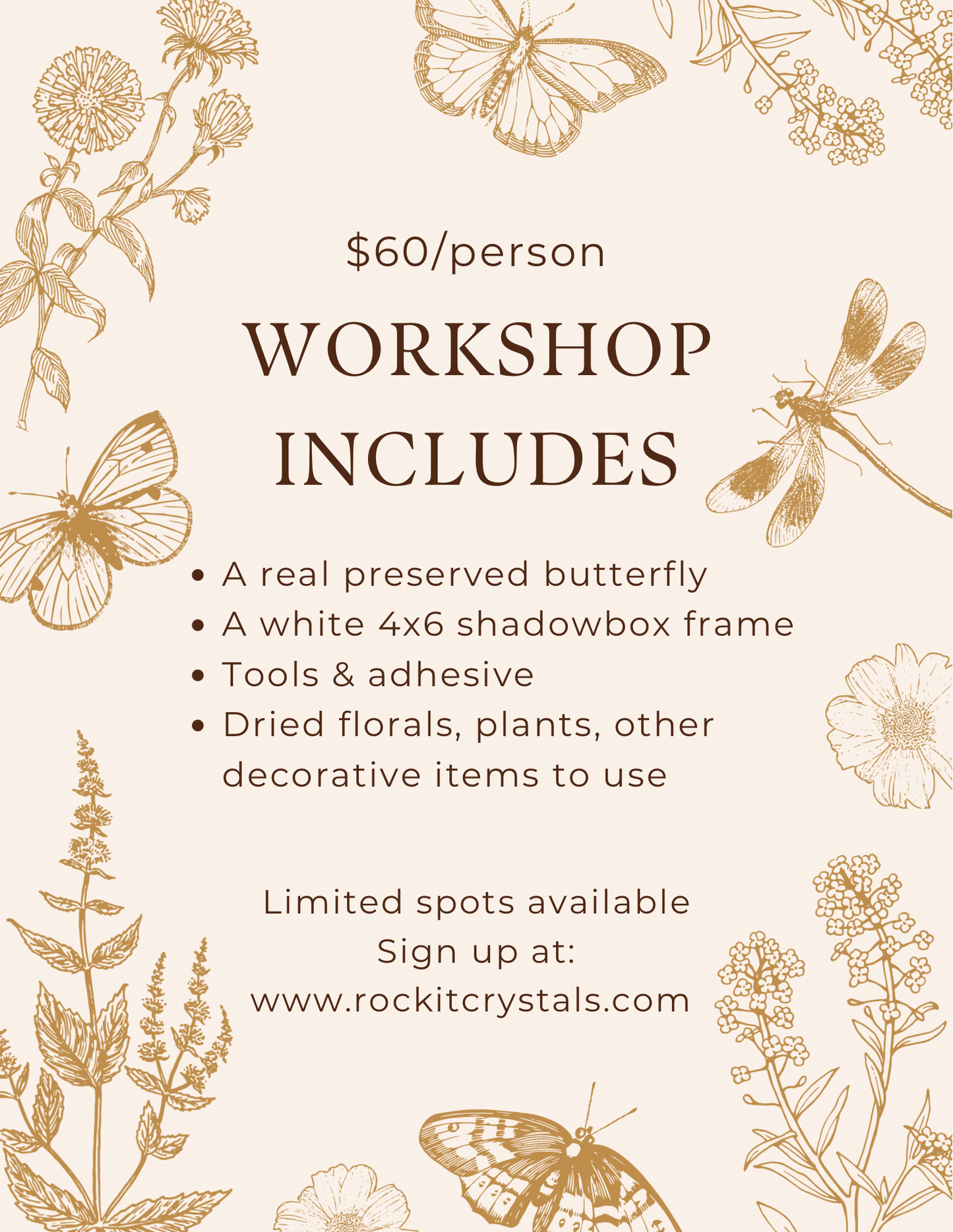 Butterfly Shadowbox Workshop