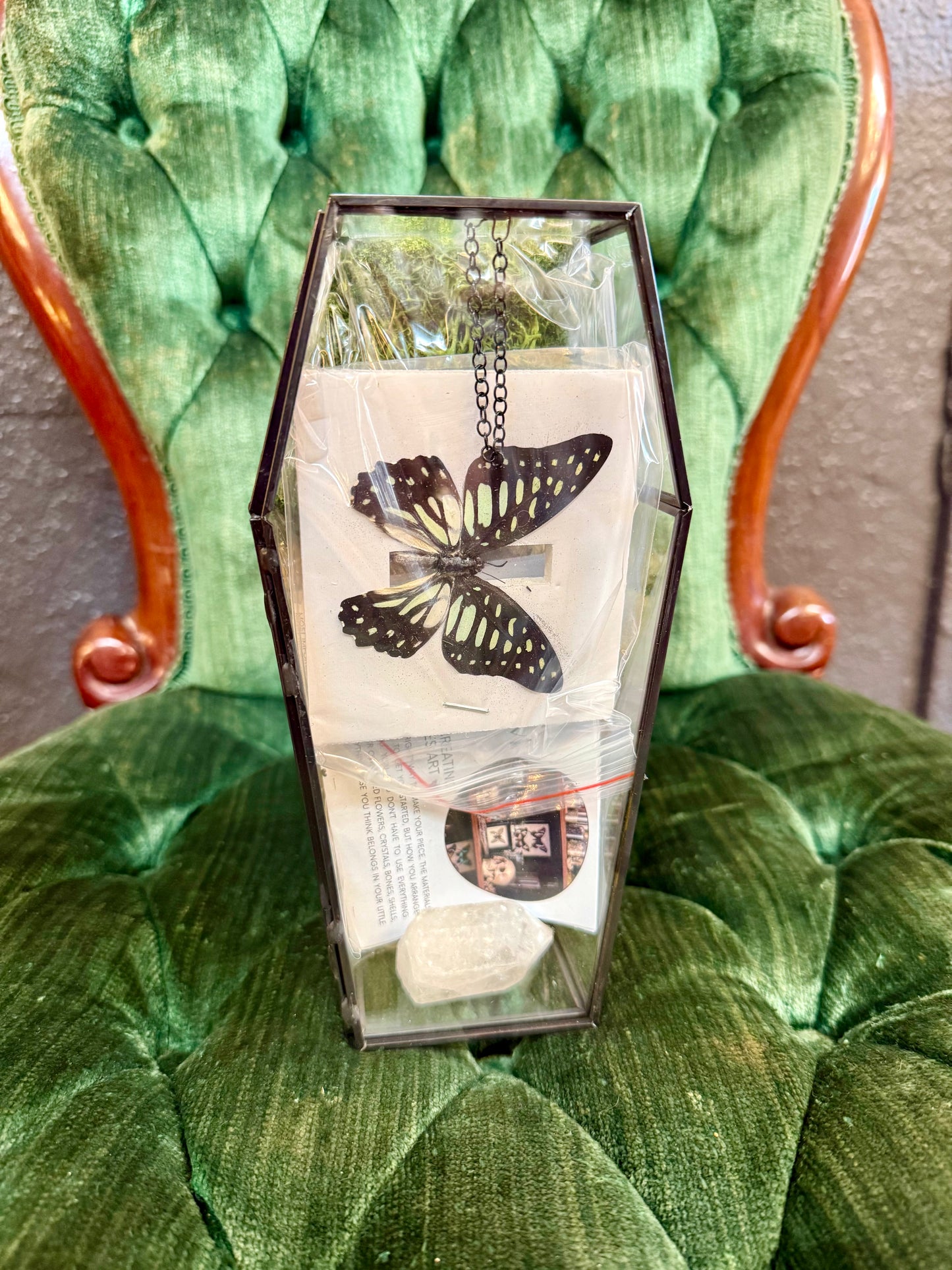 DIY Oddities Coffin Terrarium Kit Butterfly & Botanical Oddities Kit - PREORDER